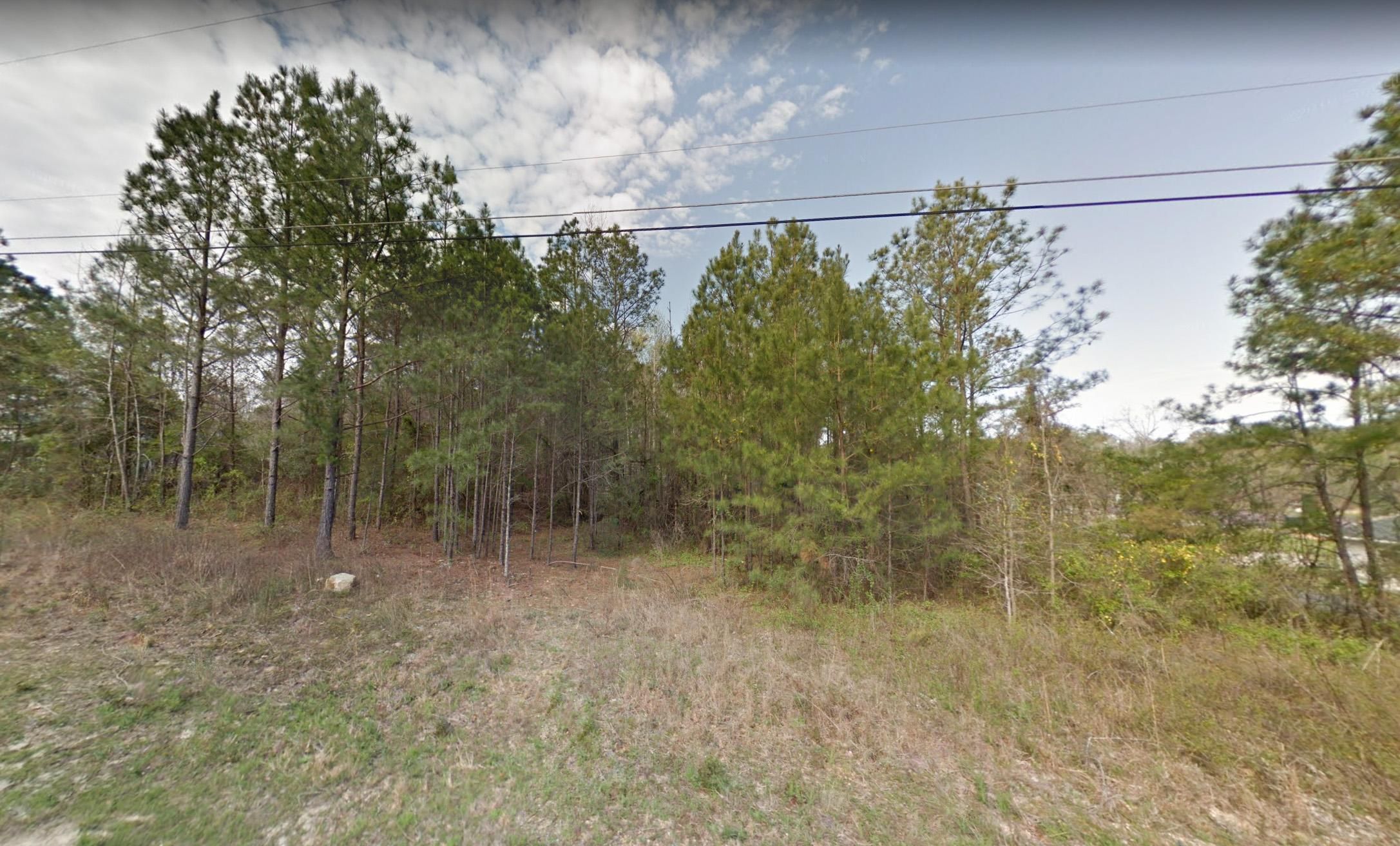 Smiths Station, Lee County, AL Recreational Property, Undeveloped Land