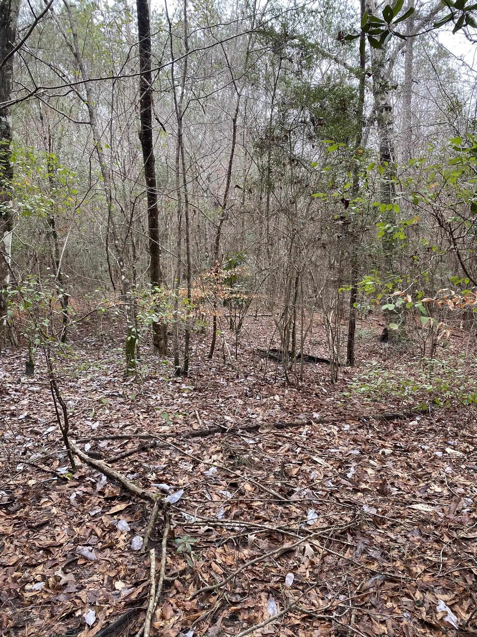 Kirbyville, Jasper County, TX Undeveloped Land for sale Property ID