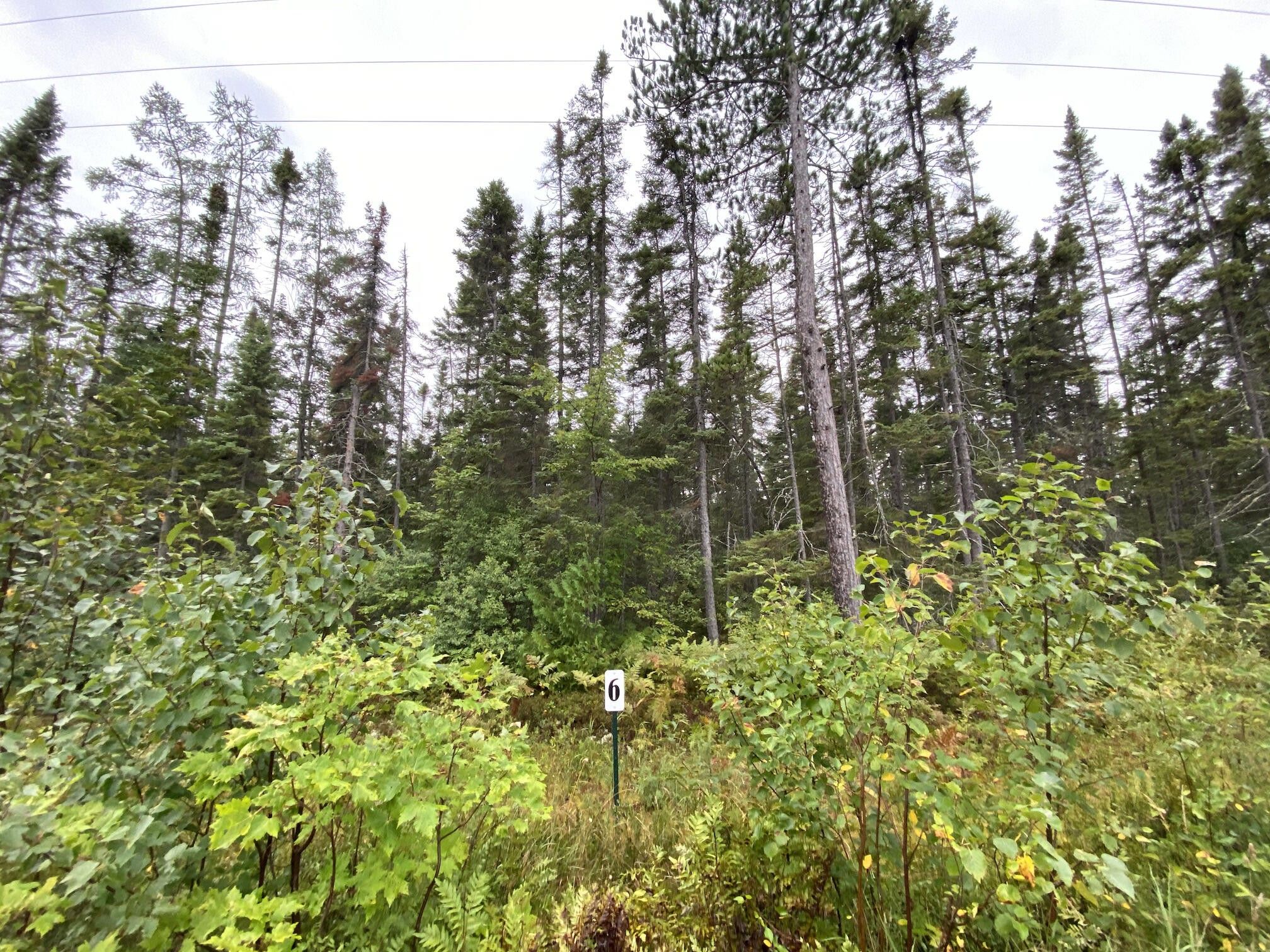 Paradise, Chippewa County, MI Undeveloped Land for sale Property ID