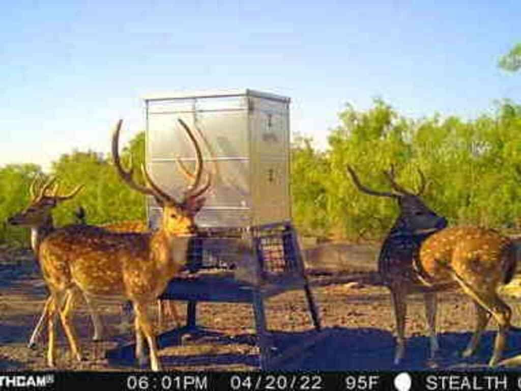 Brady, McCulloch County, TX Farms and Ranches, Recreational Property