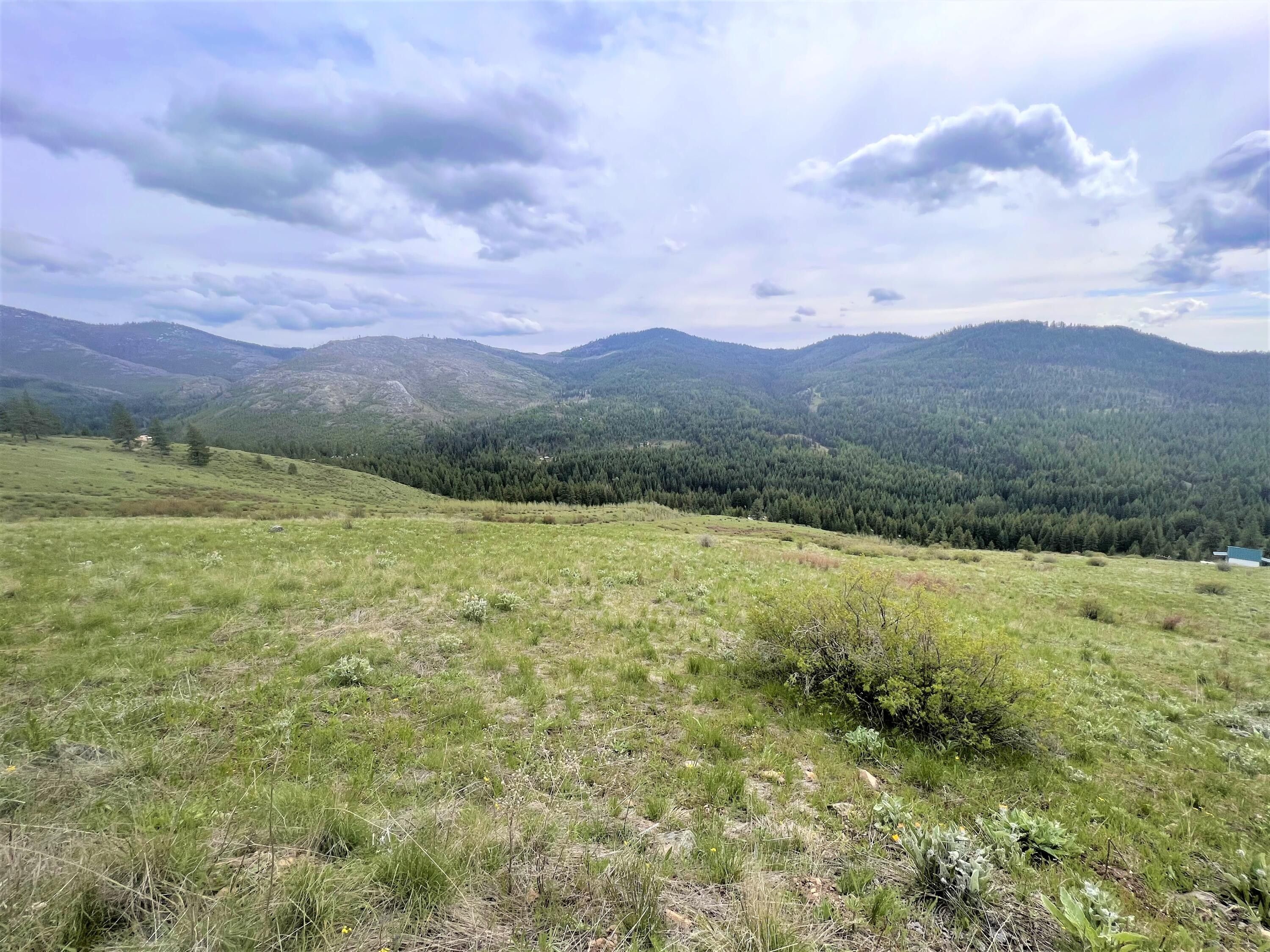 Republic, Ferry County, WA Undeveloped Land for sale Property ID 413688642 LandWatch