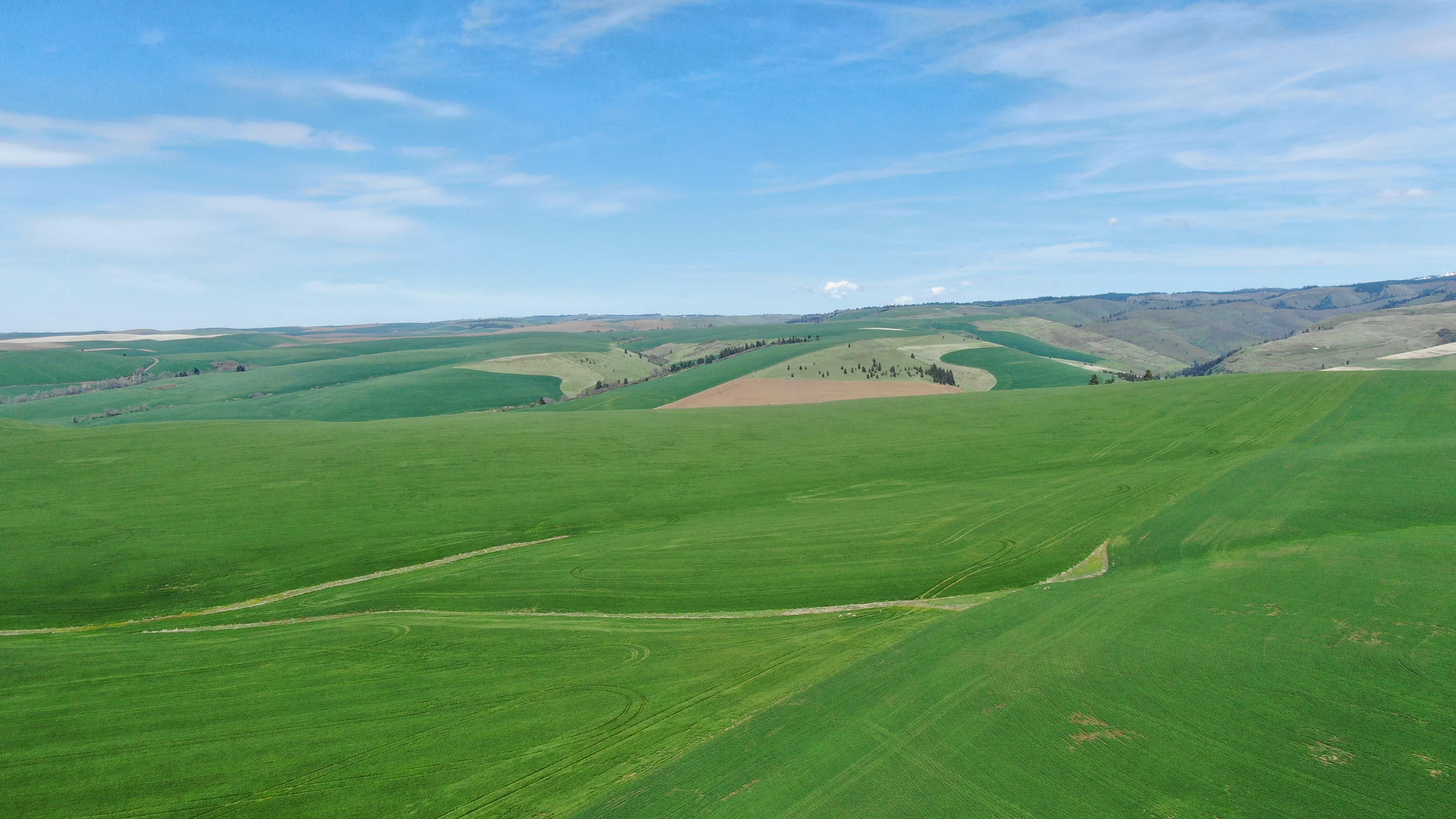 Mill Creek Rd, Walla Walla, WA 99362 LandWatch