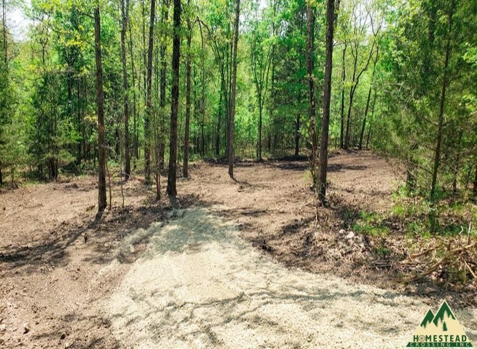 Gentryville, Douglas County, MO Recreational Property, Undeveloped Land