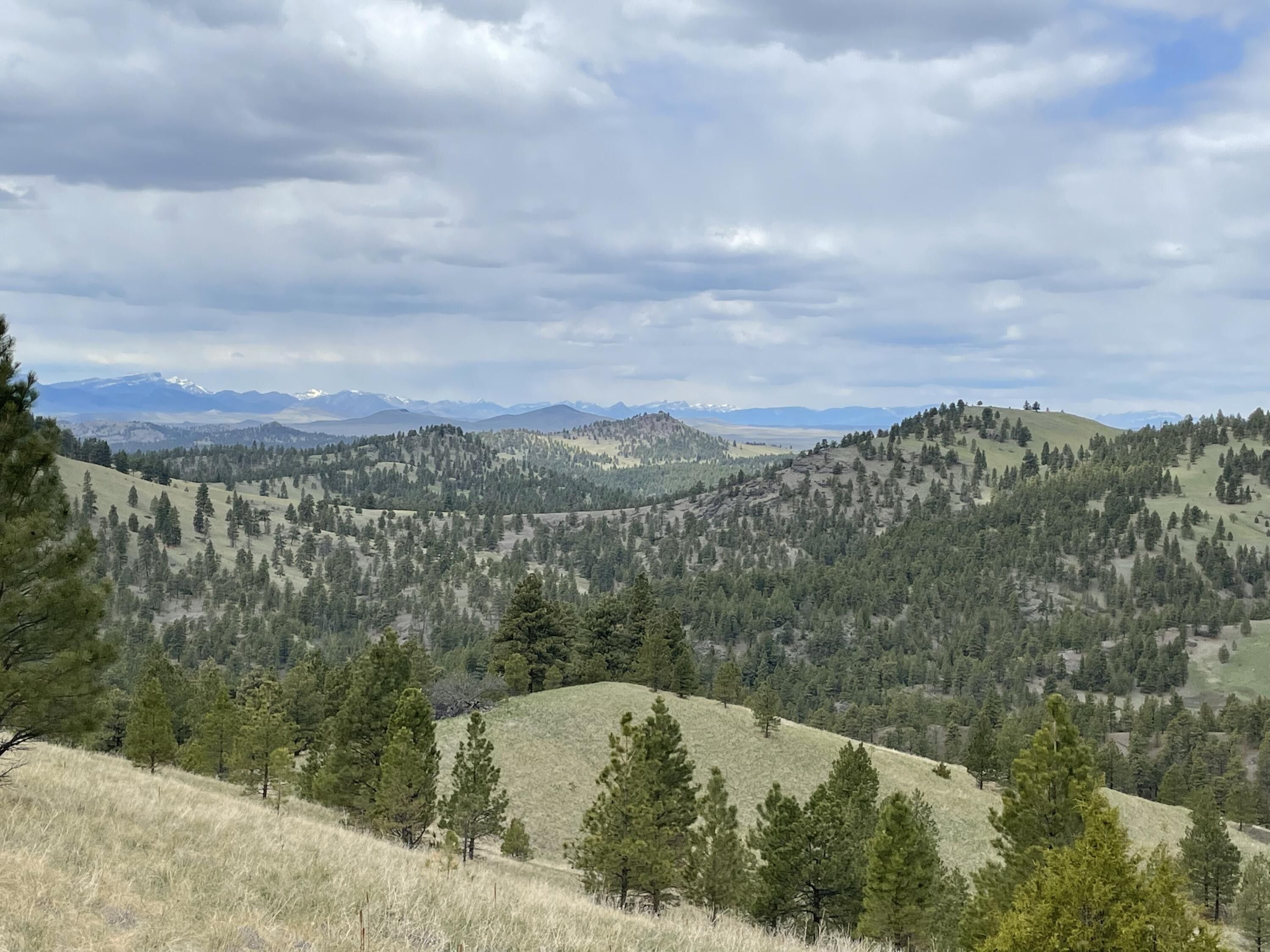 Cascade, Cascade County, MT Farms and Ranches for sale Property ID