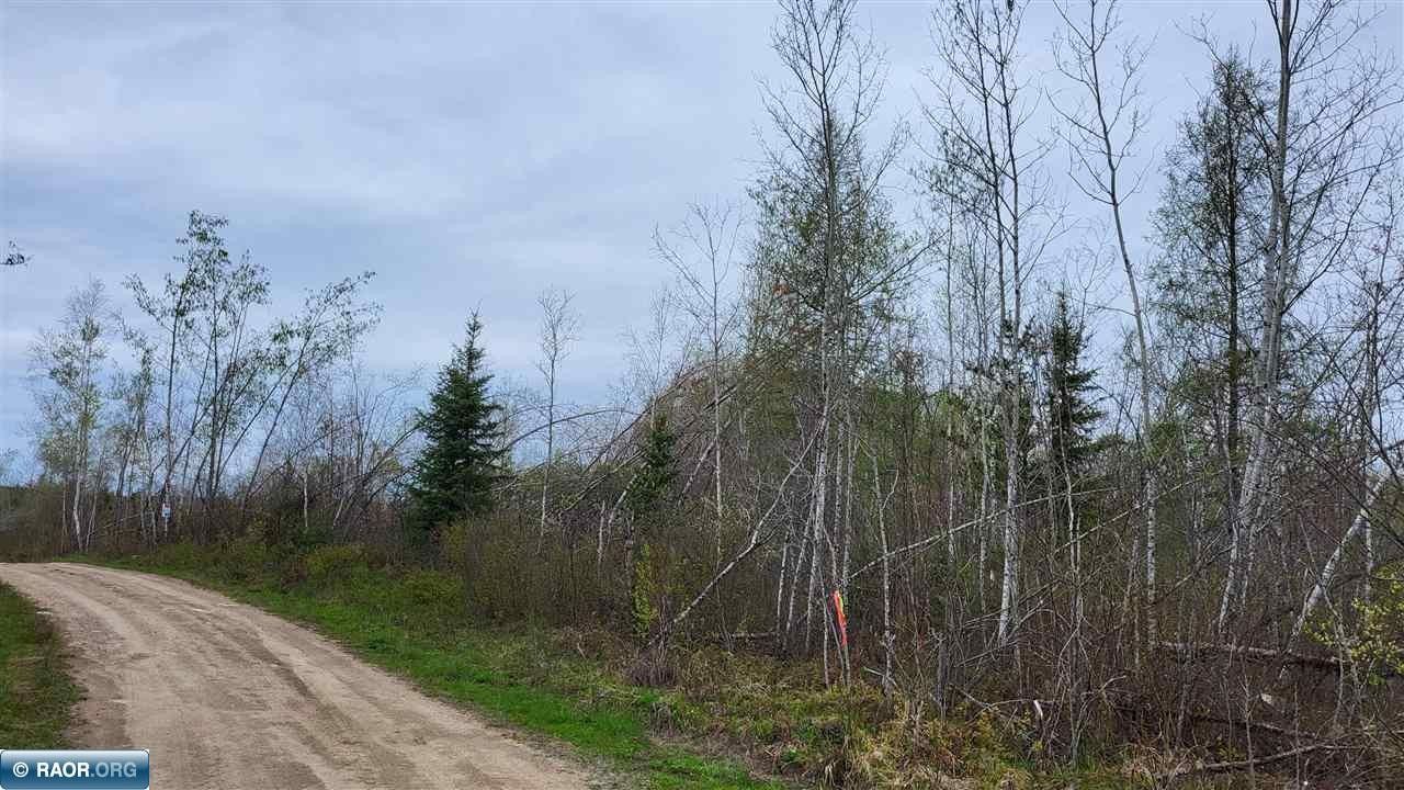 Buyck, Saint Louis County, MN Undeveloped Land for sale Property ID 413247716 LandWatch