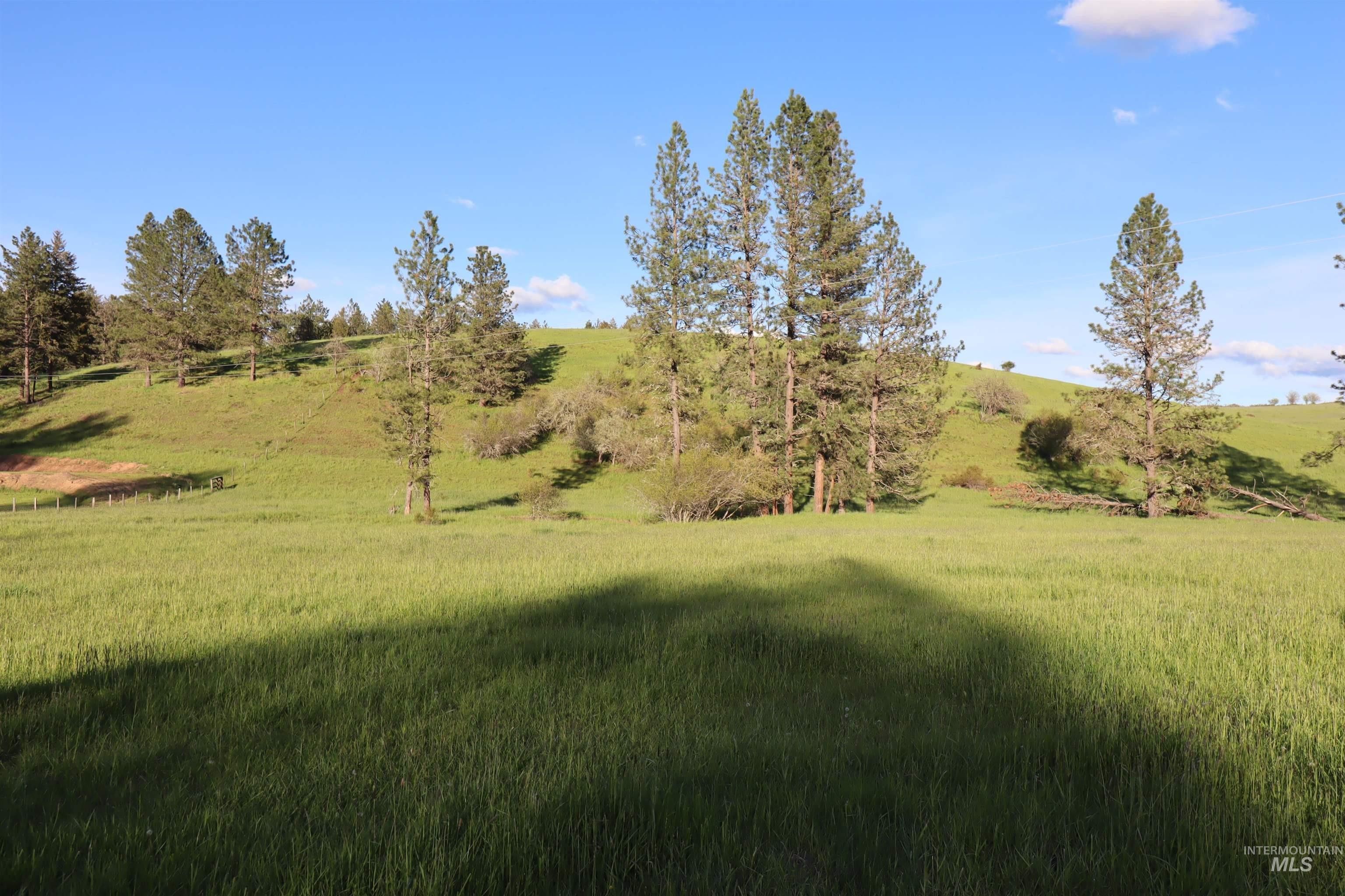 Kooskia, Idaho County, ID Undeveloped Land, Homesites for sale Property