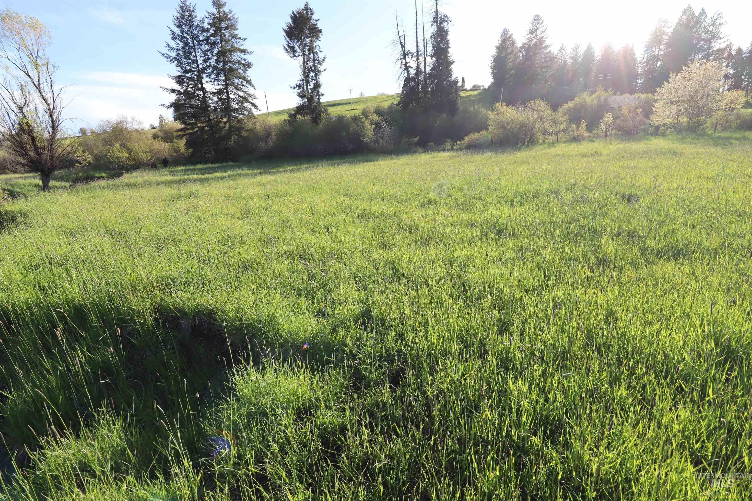 Kooskia, Idaho County, ID Undeveloped Land, Homesites for sale Property