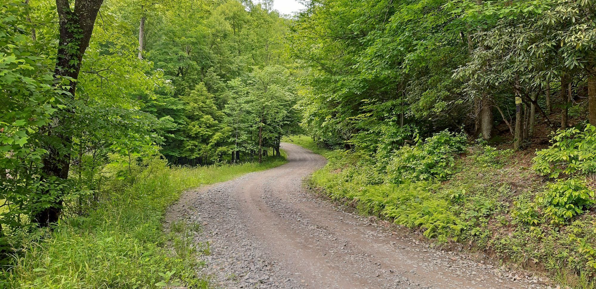 Tallmansville, Upshur County, WV Recreational Property, Undeveloped