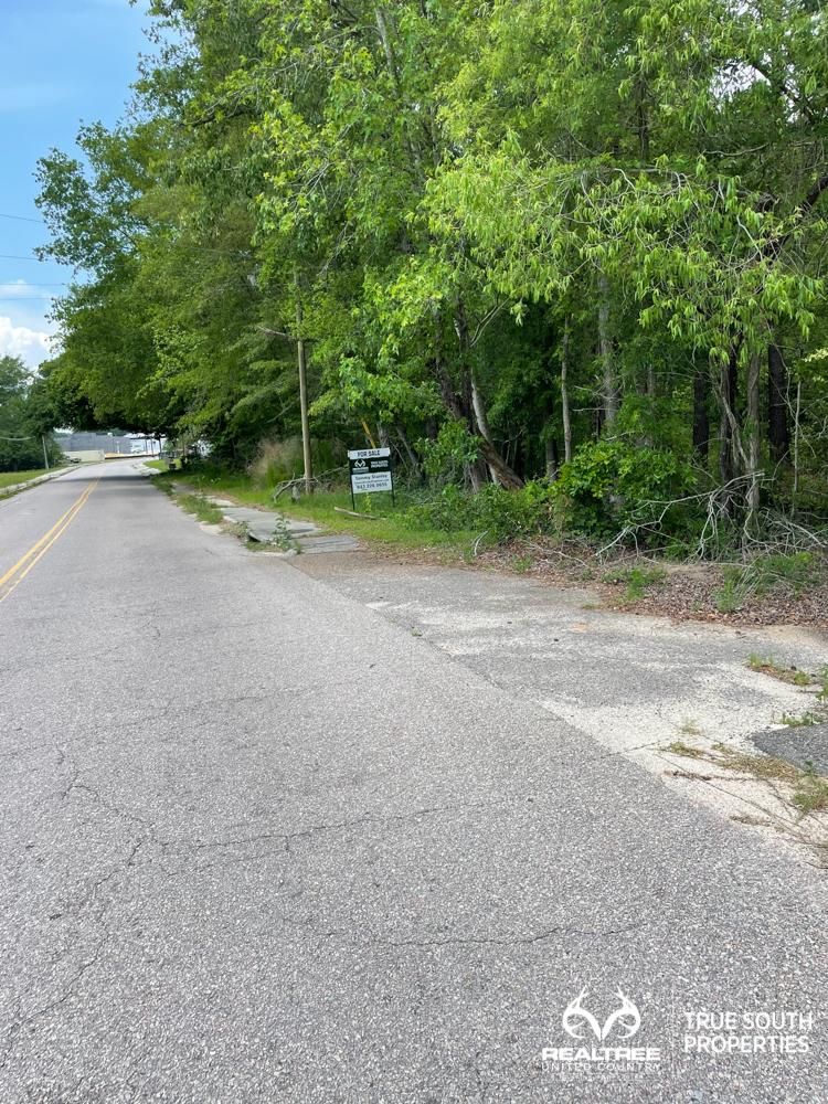 Ridgeland, Jasper County, SC Undeveloped Land, Commercial Property