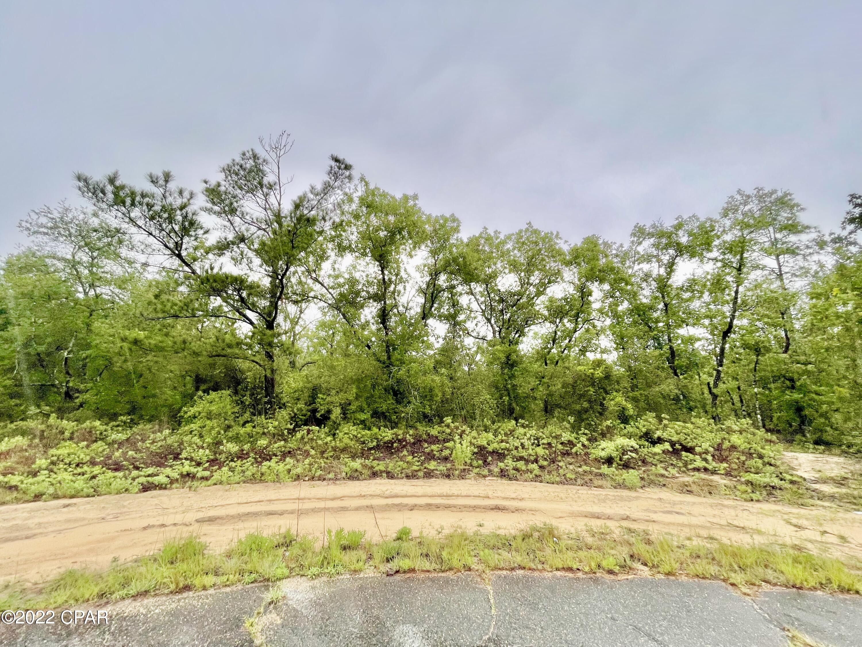 Chipley, Washington County, FL Undeveloped Land, Homesites for sale