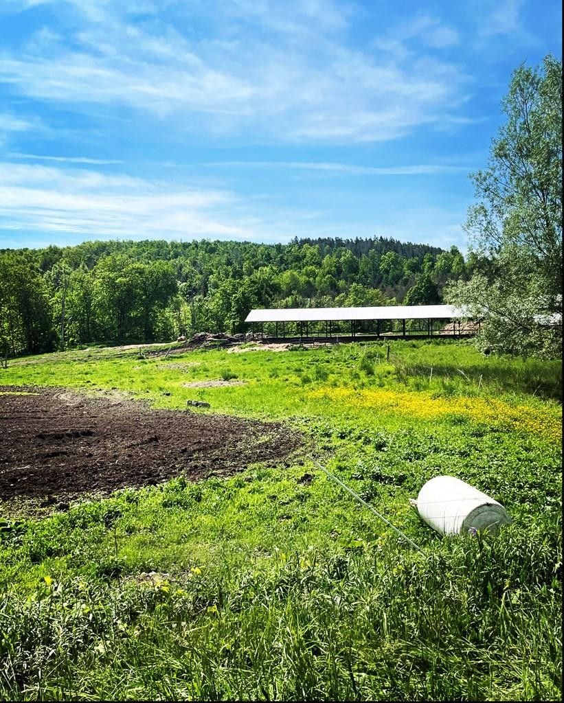 Mansfield, Tioga County, PA Farms and Ranches for sale Property ID