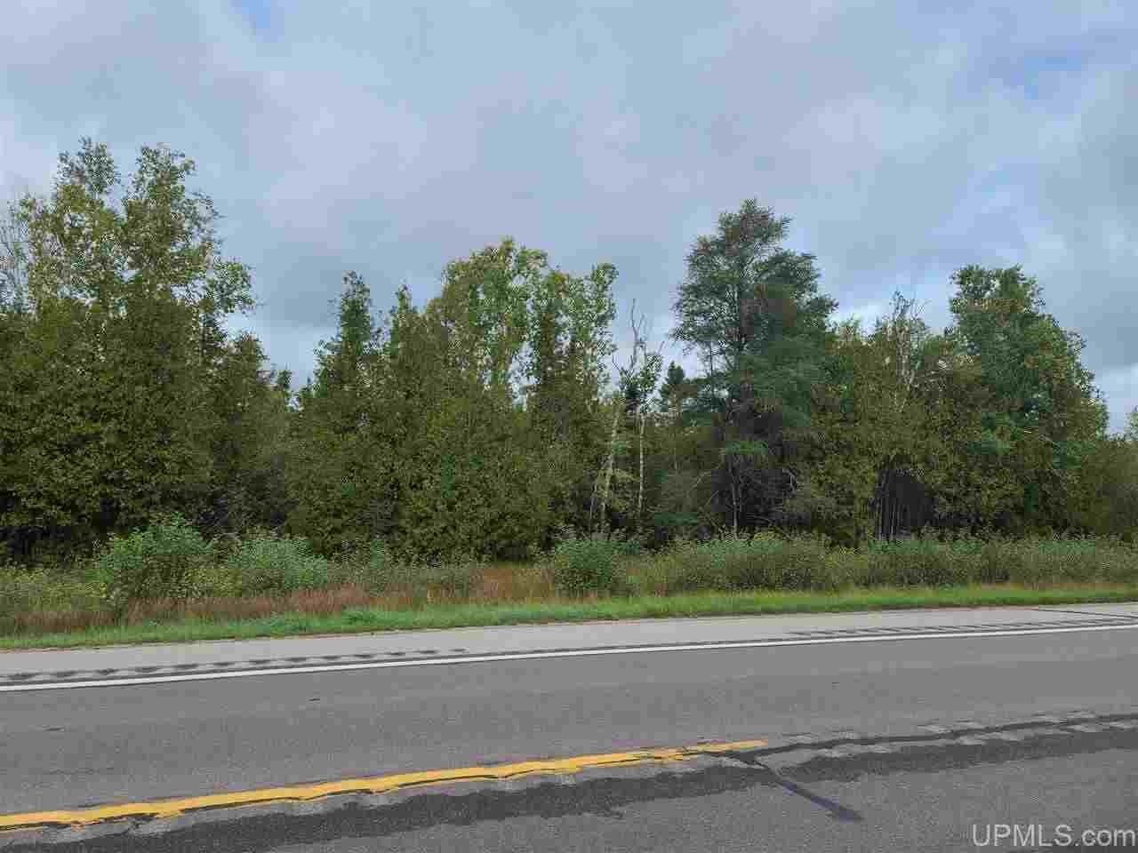 Bark River, Delta County, MI Undeveloped Land for sale Property ID