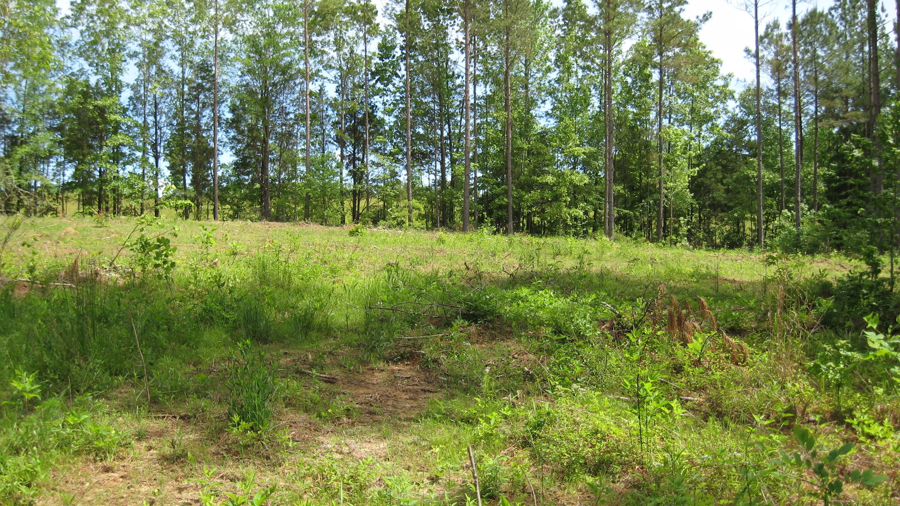 Scotts Hill, Henderson County, TN Farms and Ranches, Hunting Property