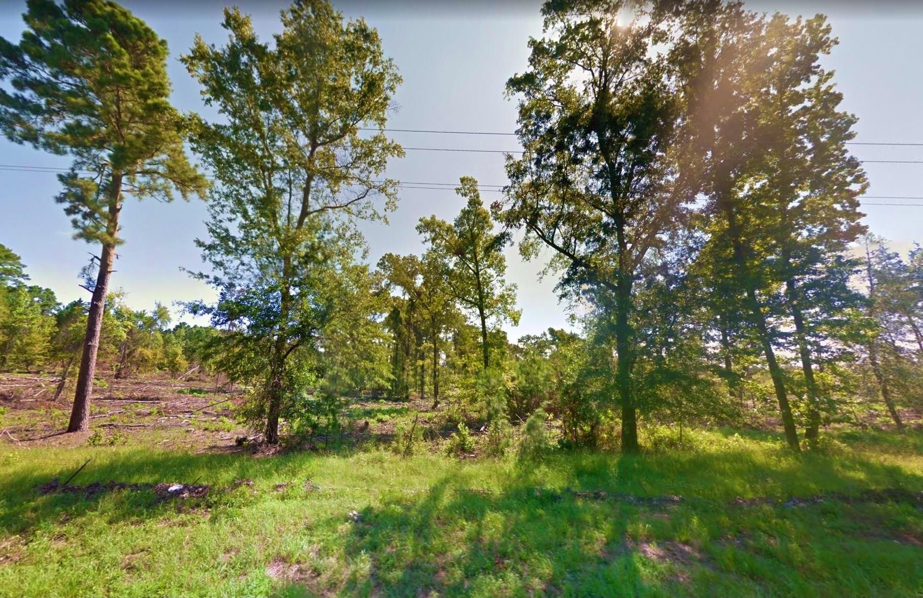 Avinger, Marion County, TX Recreational Property, Undeveloped Land