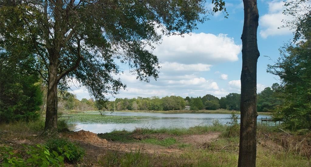 Canton, Van Zandt County, TX Commercial Property, Lakefront Property