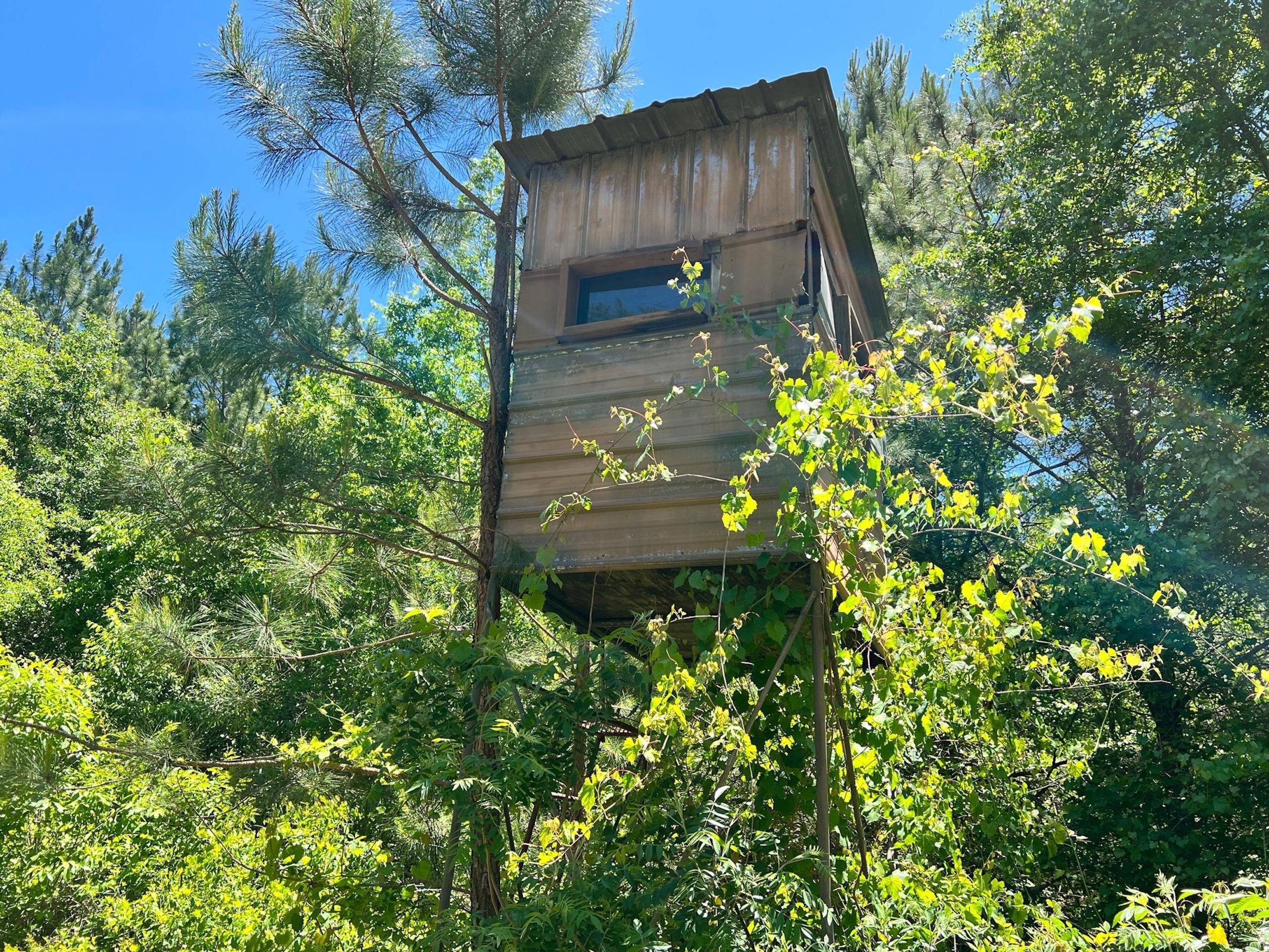 Sparta, Hancock County, GA Recreational Property, Timberland Property