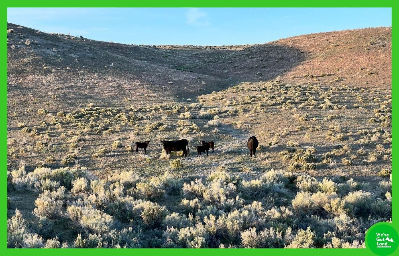 Deeth, Elko County, NV Recreational Property, Undeveloped Land for sale Property ID 413504252