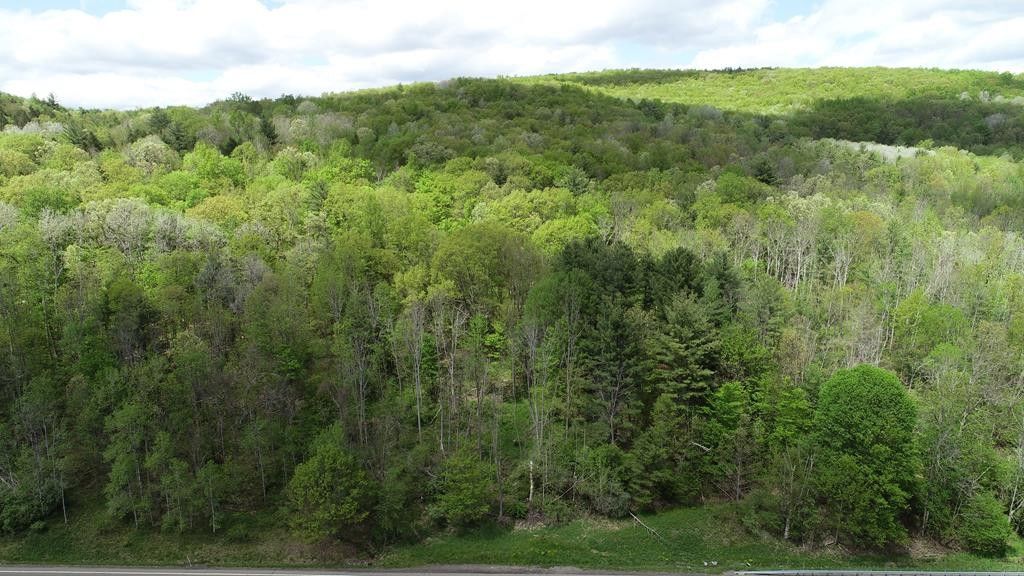 Pine City, Chemung County, NY Undeveloped Land for sale Property ID