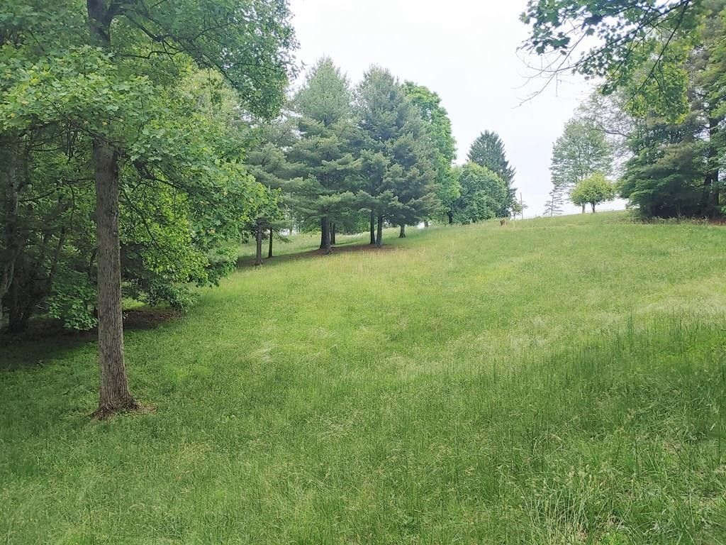 Dugspur, Carroll County, VA Farms and Ranches, Undeveloped Land for