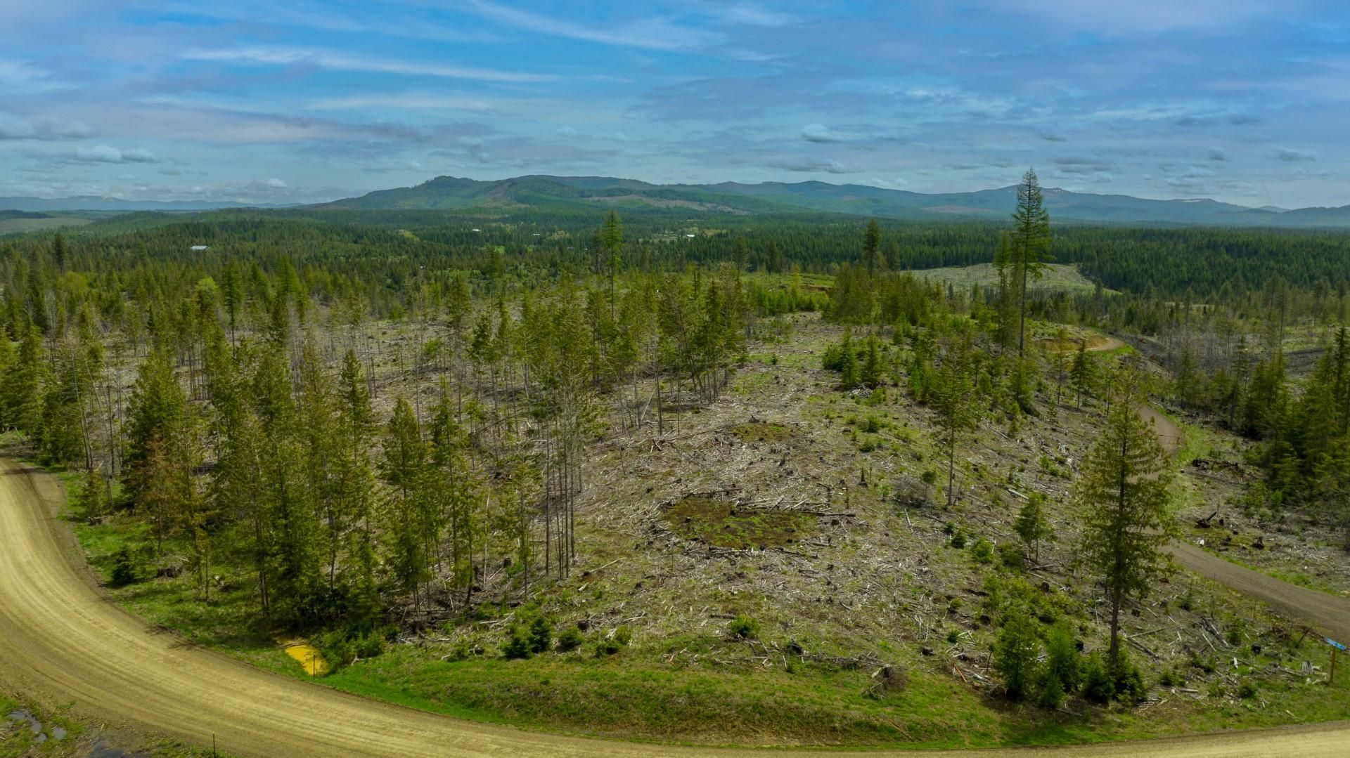 St Maries, Benewah County, ID Recreational Property, Undeveloped Land