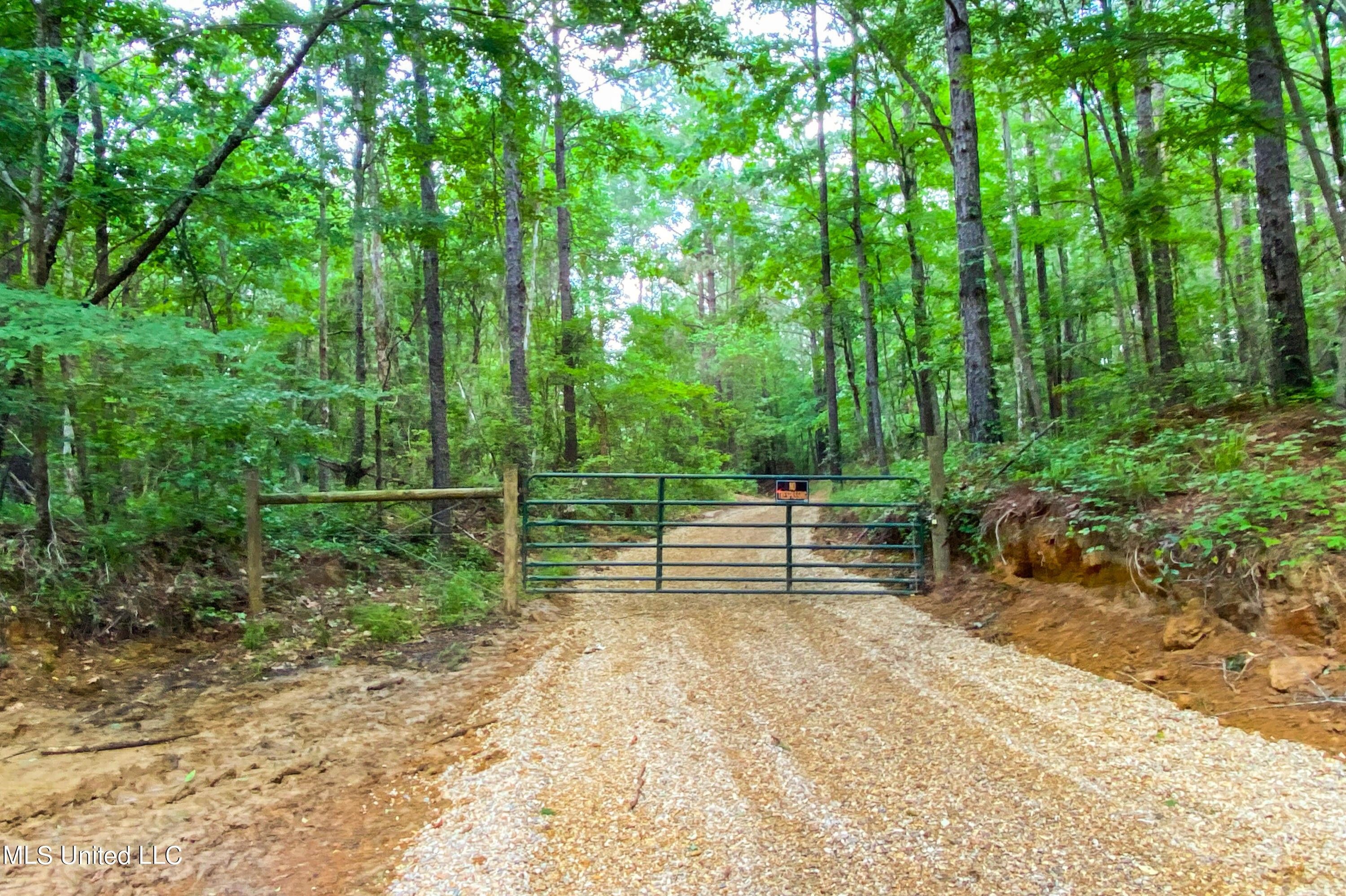 Braxton, Rankin County, MS Undeveloped Land for sale Property ID