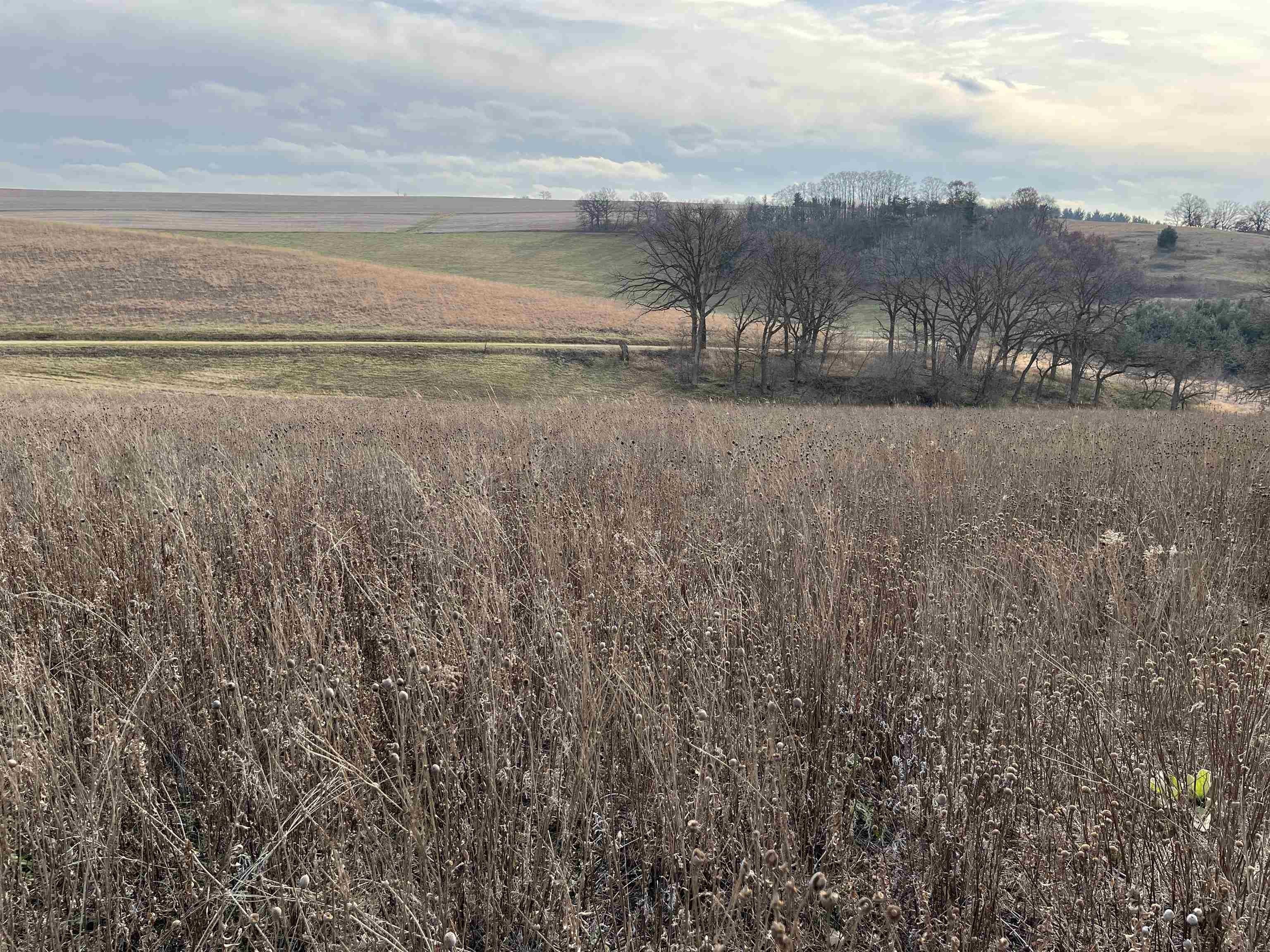 Hollandale, Iowa County, WI Undeveloped Land for sale Property ID