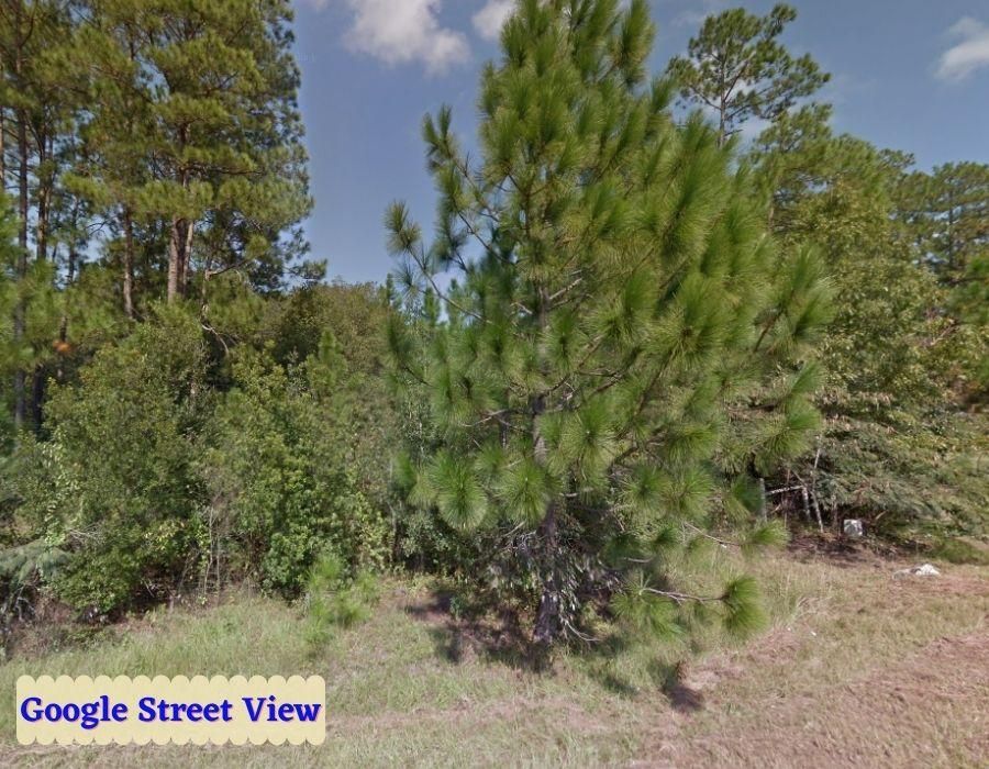 Albany, Mitchell County, GA Recreational Property, Undeveloped Land