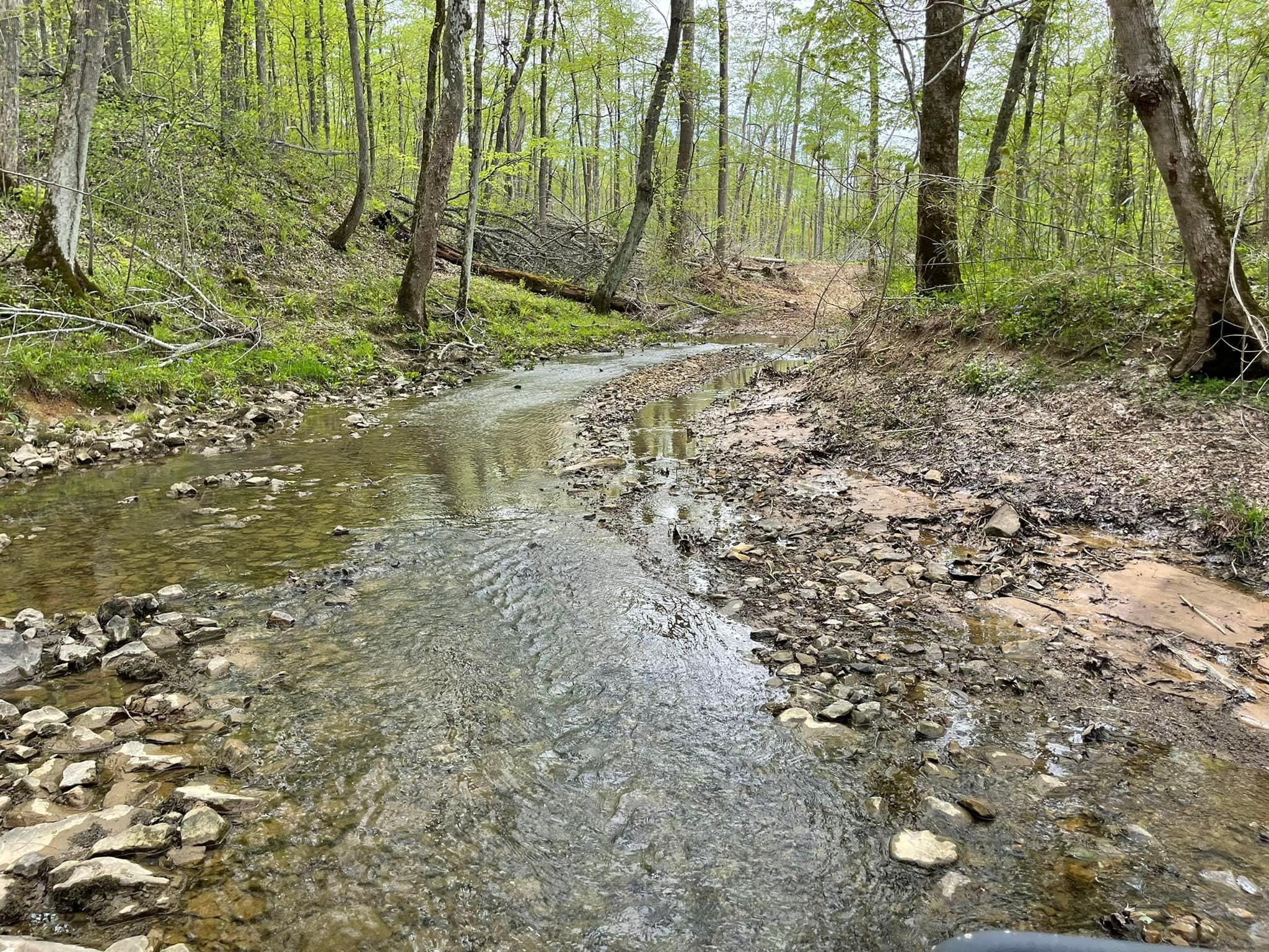 Burna, Livingston County, KY Recreational Property, Undeveloped Land