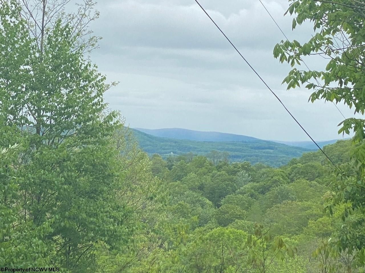 Dryfork, Tucker County, WV Undeveloped Land, Lakefront Property