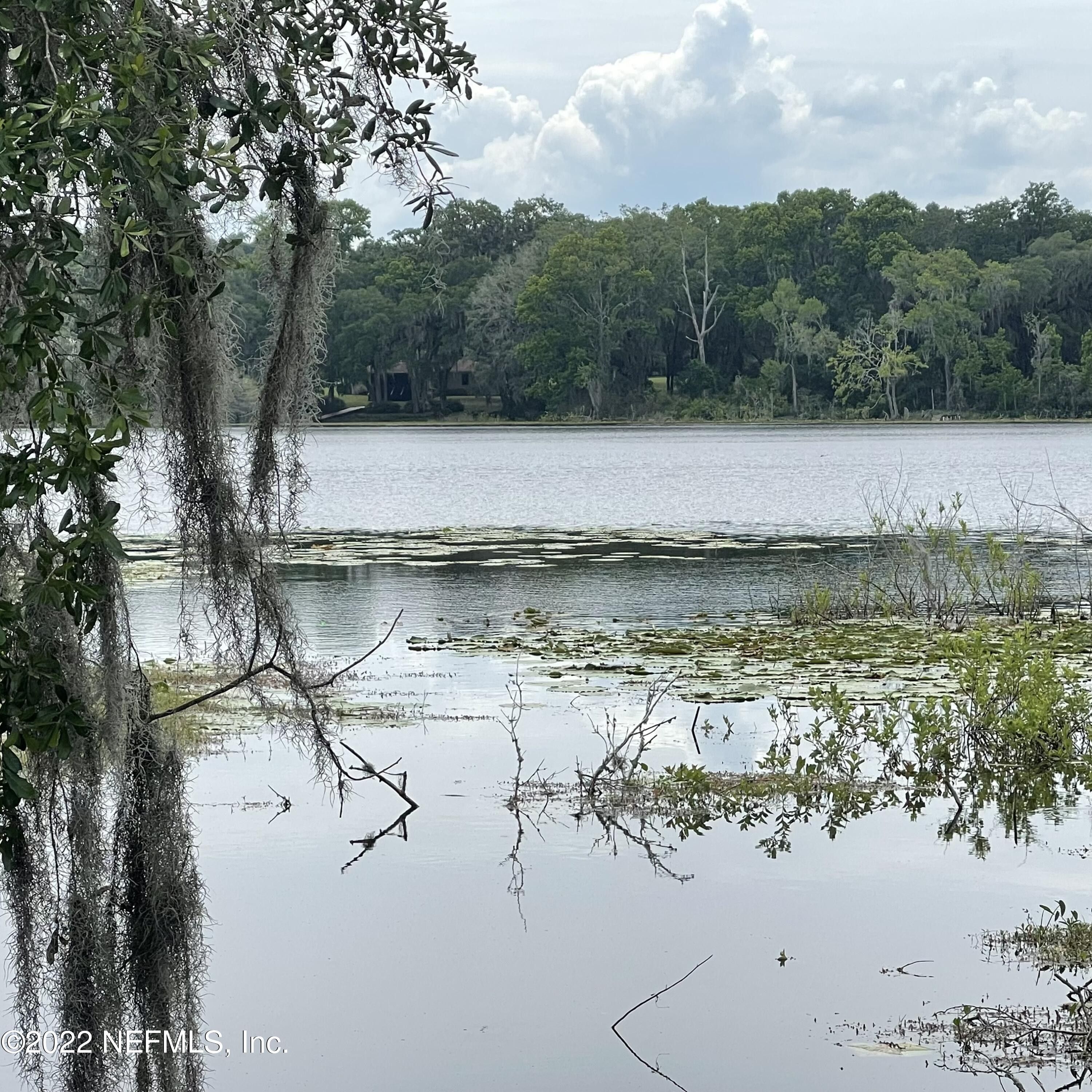 Hawthorne, Putnam County, FL Undeveloped Land, Lakefront Property