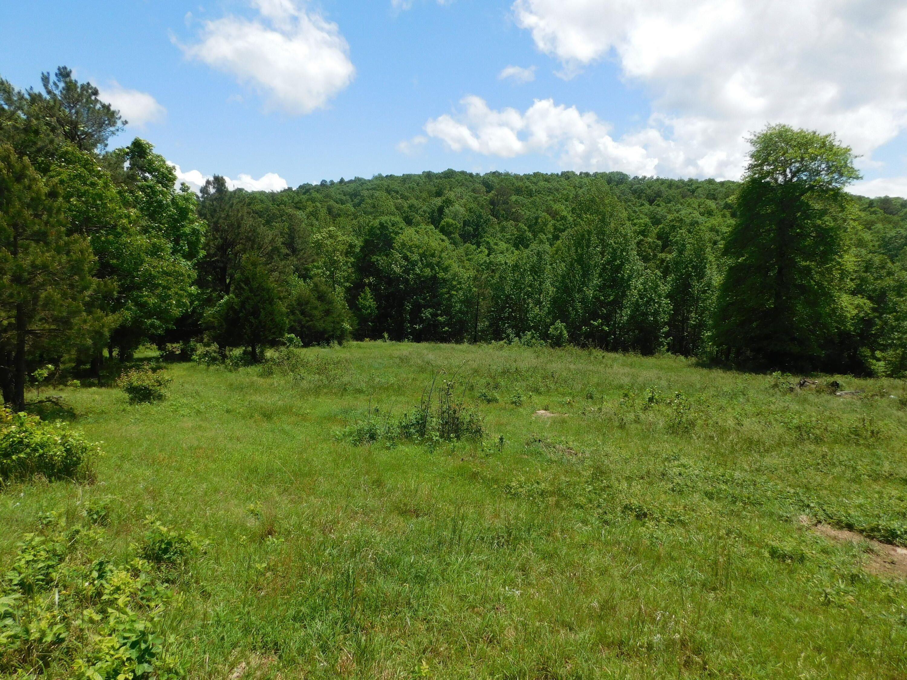 Jasper, Newton County, AR Undeveloped Land for sale Property ID