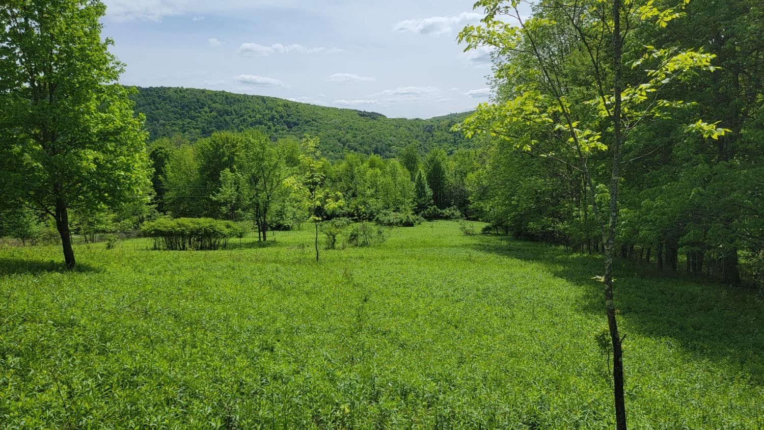 Sidney, Delaware County, NY Undeveloped Land for sale Property ID