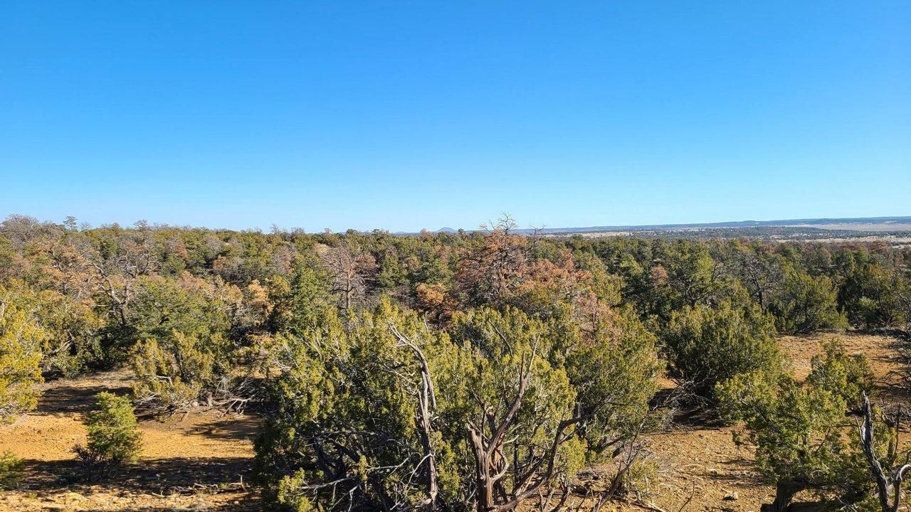 Bluewater, Cibola County, NM Recreational Property, Undeveloped Land