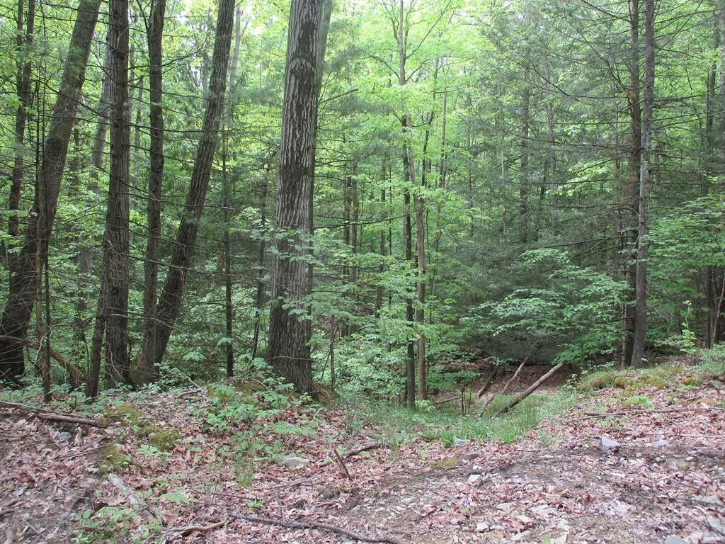 Big Flats, Chemung County, NY Undeveloped Land, Homesites for sale