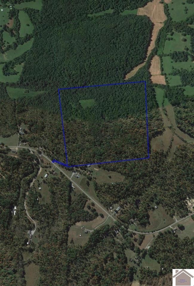 Eddyville, Lyon County, KY Undeveloped Land for sale Property ID