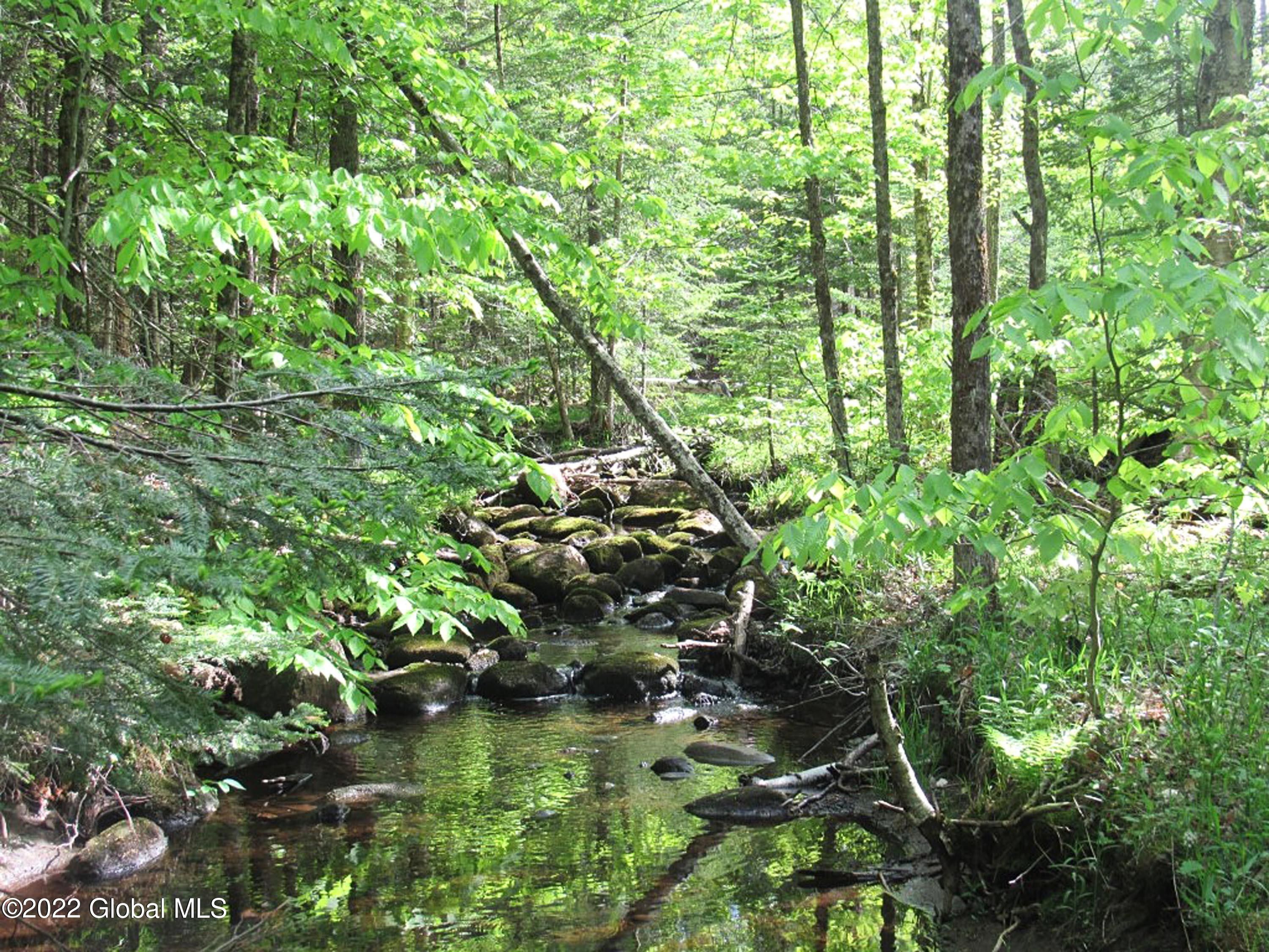 Johnsburg, Warren County, NY Undeveloped Land, Lakefront Property
