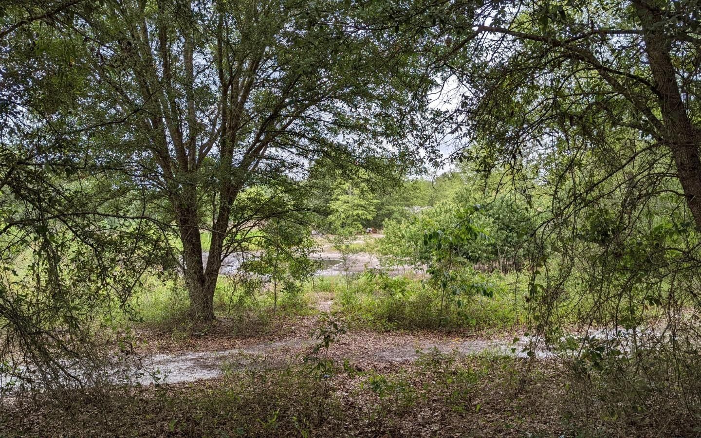 Live Oak, Suwannee County, FL Undeveloped Land for sale Property ID
