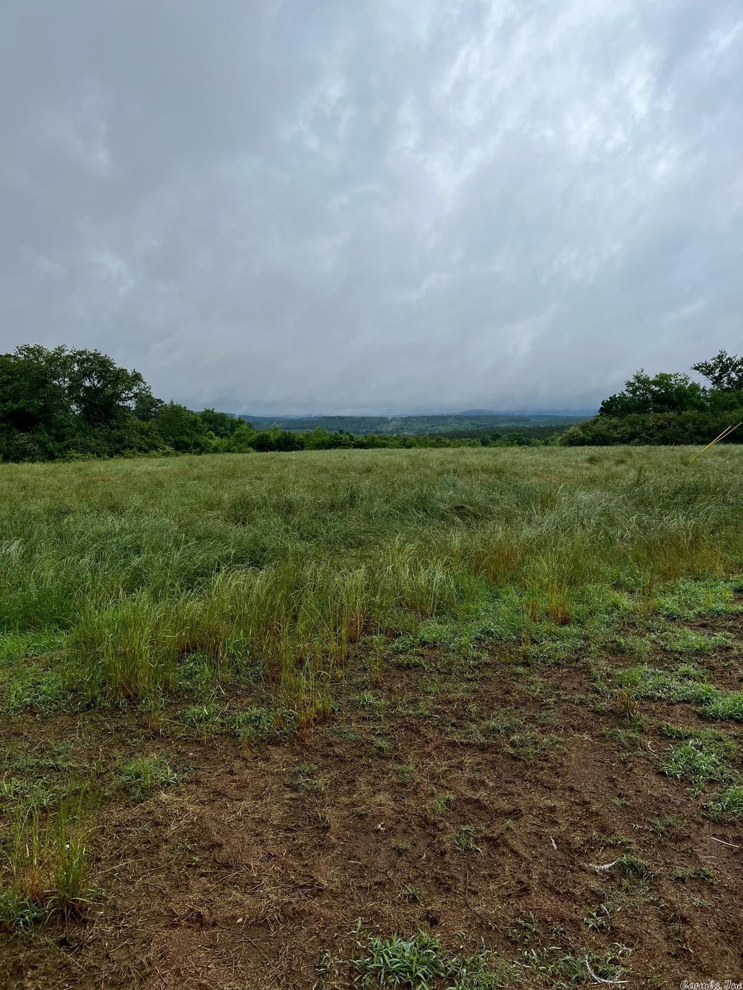 Cleveland, Conway County, AR Undeveloped Land for sale Property ID