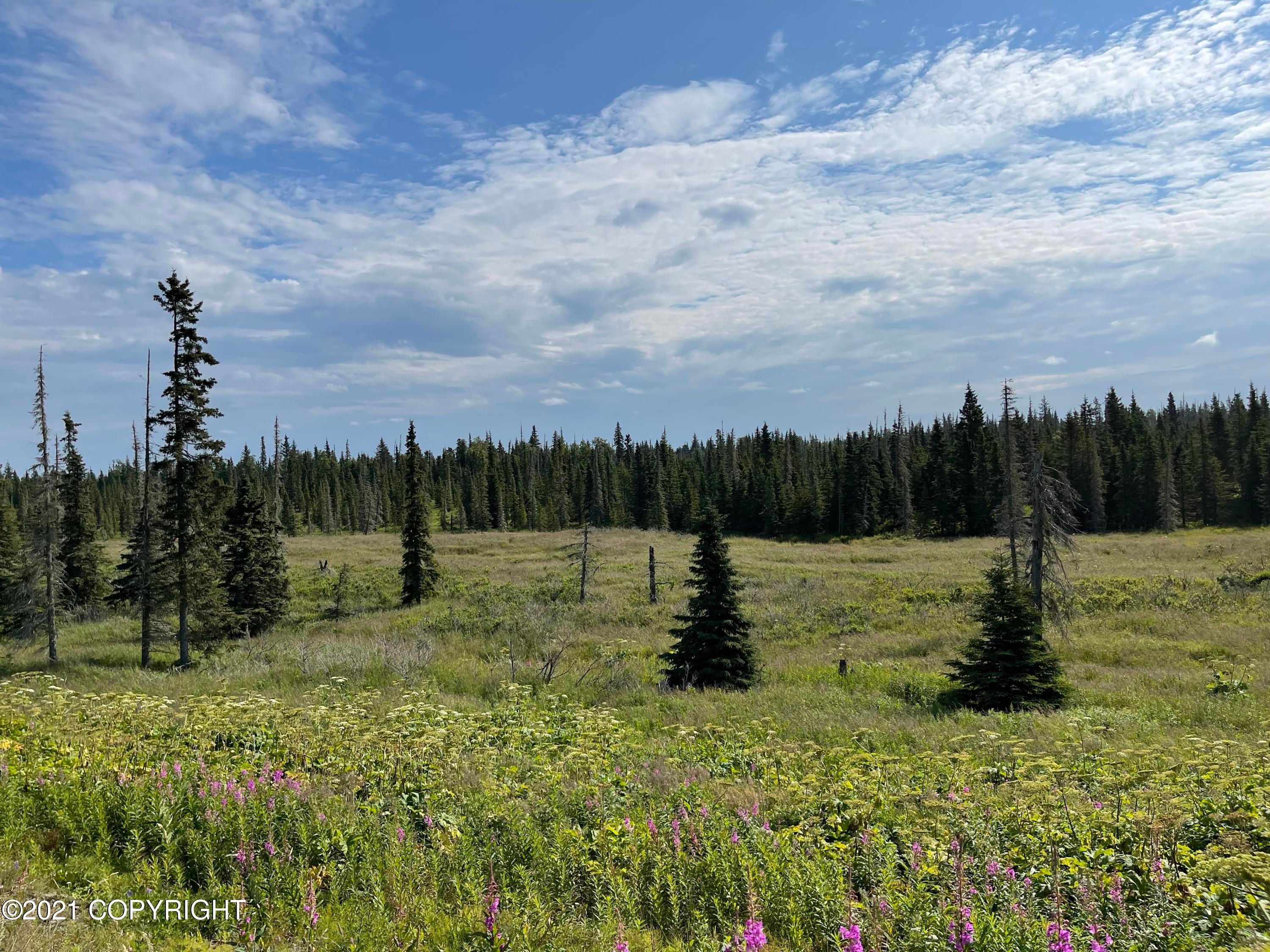 Ninilchik, Kenai Peninsula Borough, AK Undeveloped Land, Homesites for