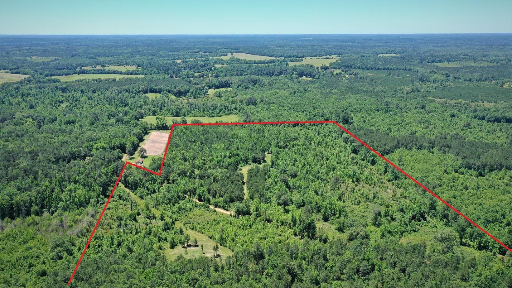 Atlanta, Cass County, TX Recreational Property, Hunting Property for