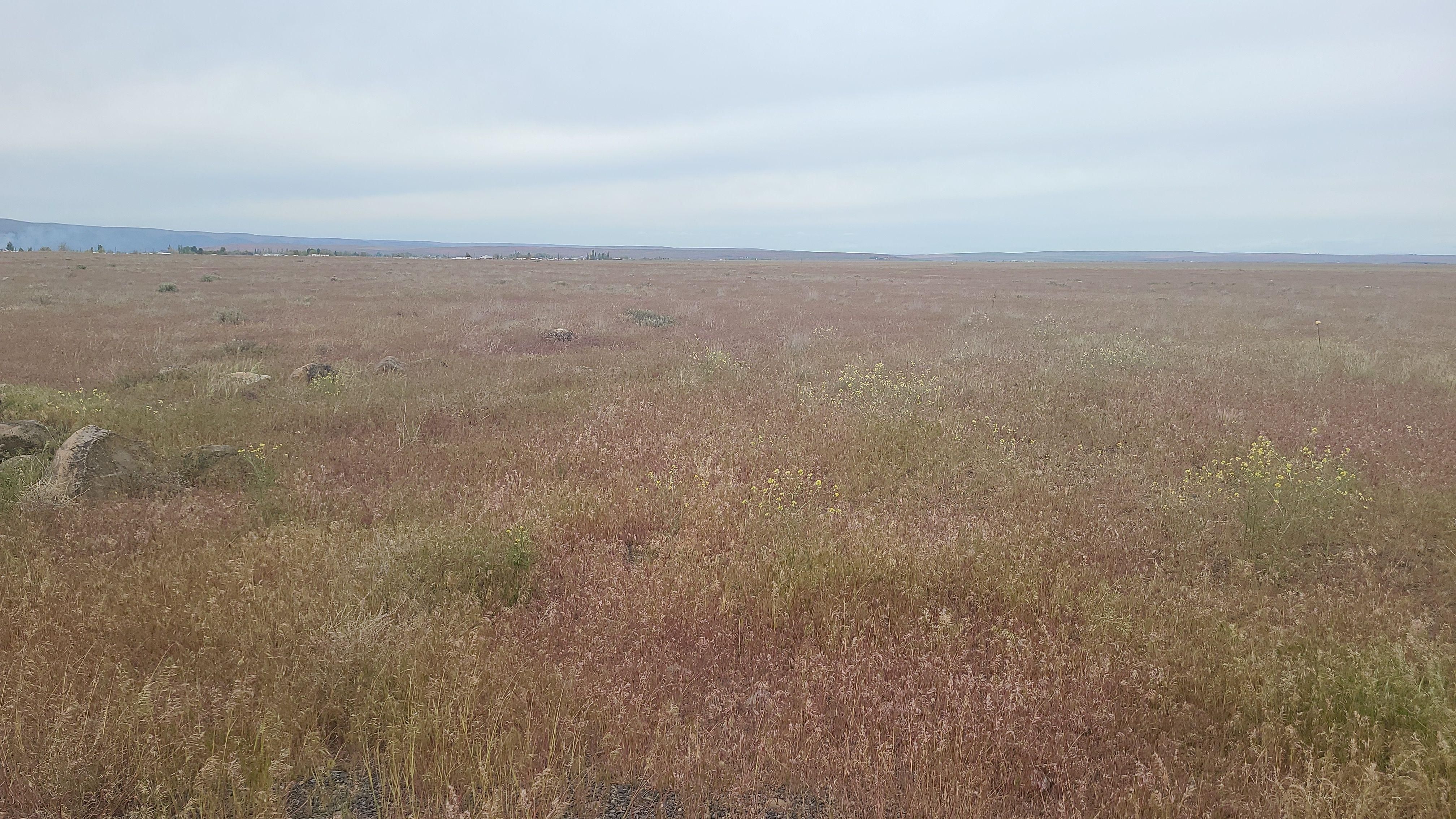 Rd 16 NE, Ephrata, WA 98851 LandWatch