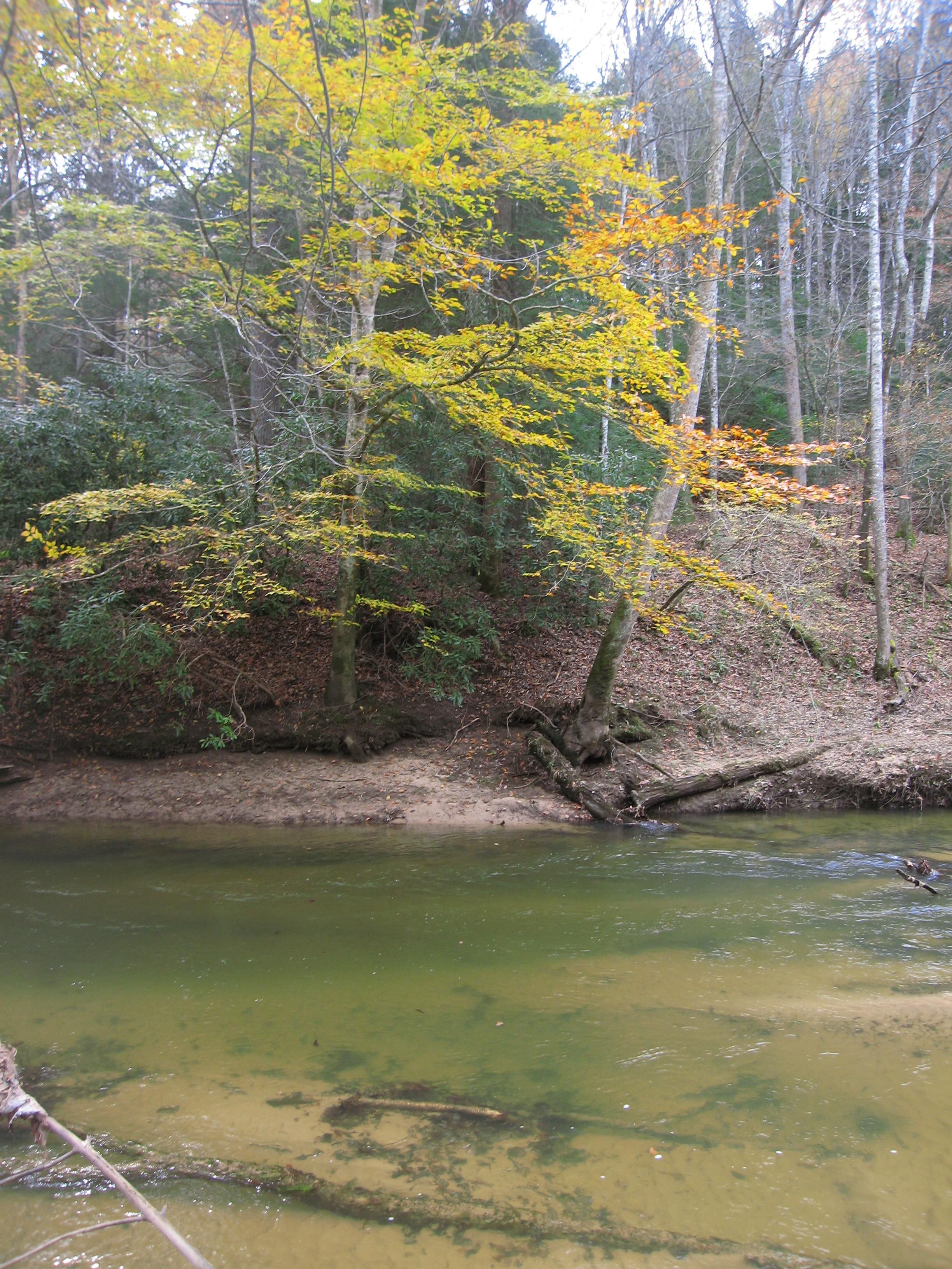 Jamestown, Fentress County, TN Recreational Property, Hunting Property, House for sale Property