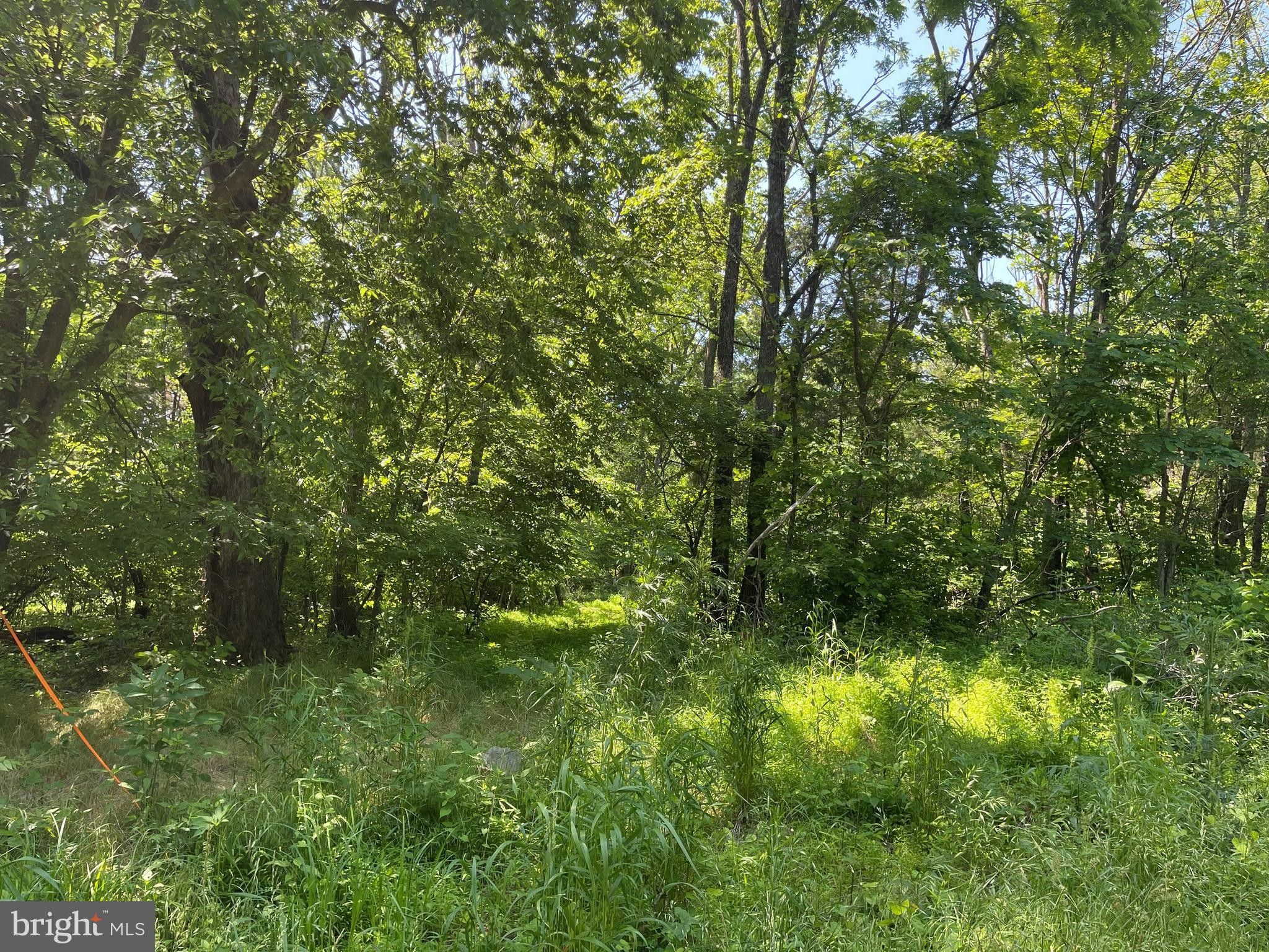 Mitchells, Culpeper County, VA Undeveloped Land for sale Property ID 412571358 LandWatch