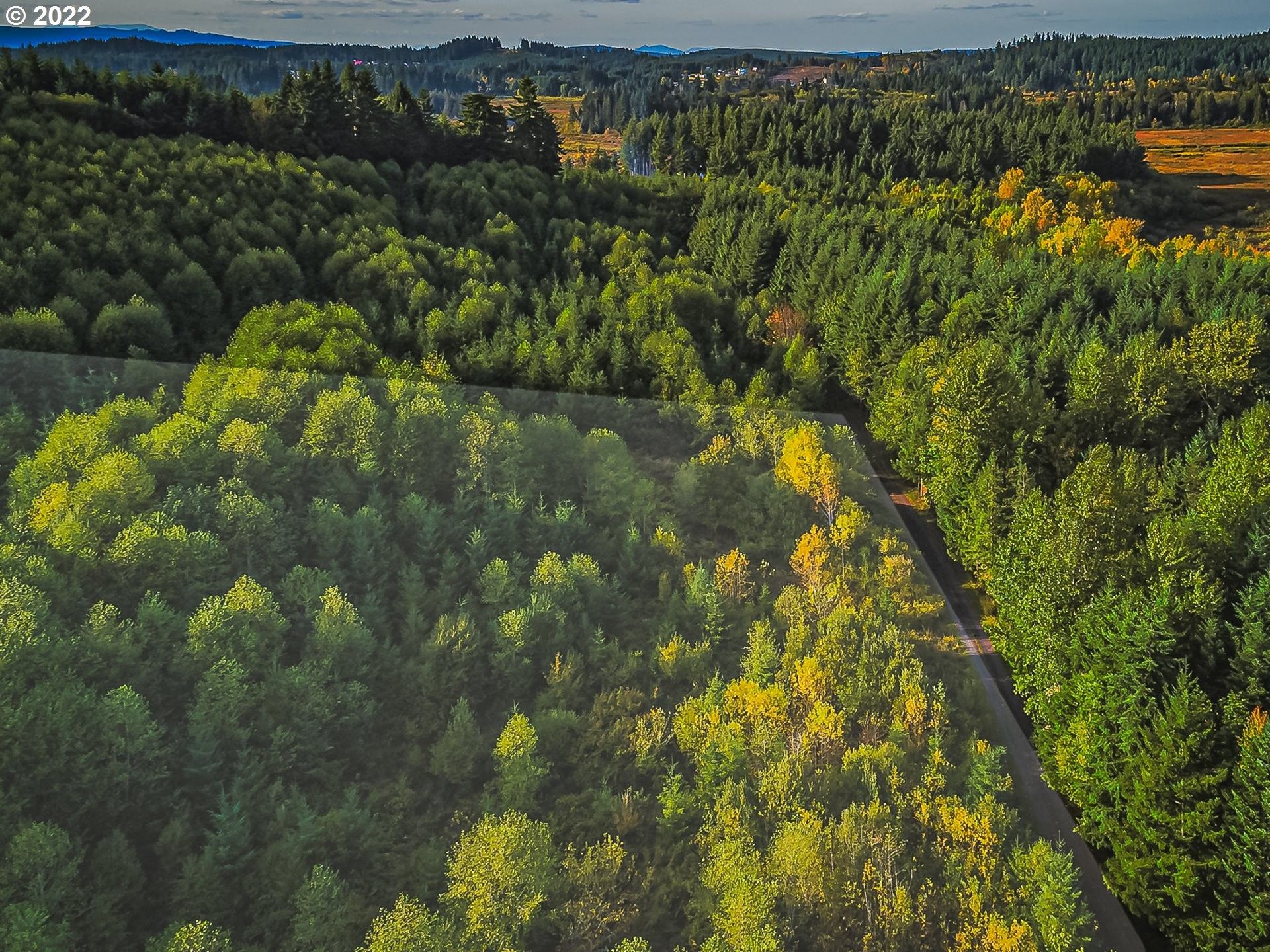 Castle Rock, Cowlitz County, WA Undeveloped Land, Homesites for sale