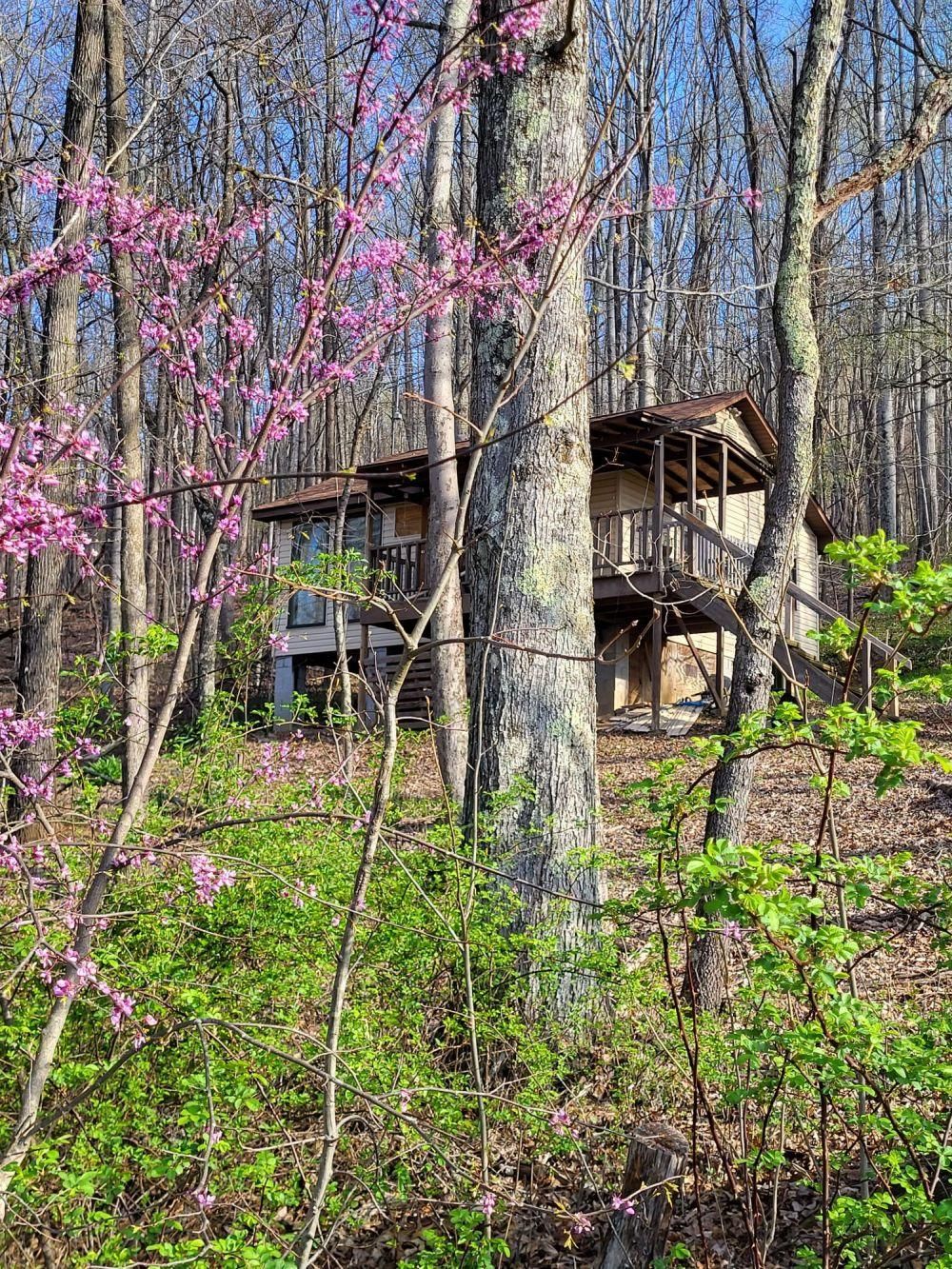 Songbird Lane, Meadow Bridge, WV 25976 MLS IRISH MOUNTAIN CABIN