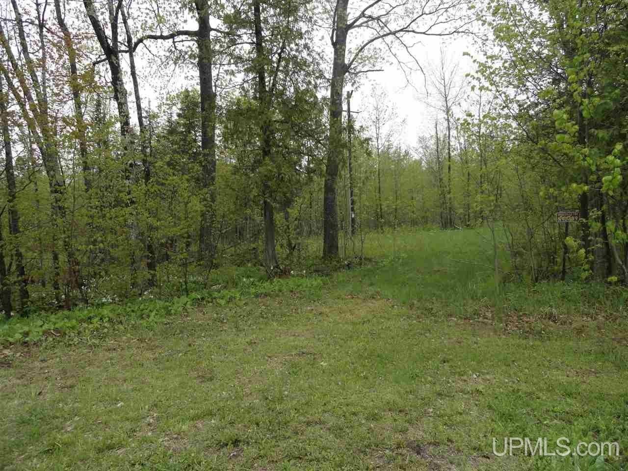 Marenisco, Gogebic County, MI Undeveloped Land for sale Property ID