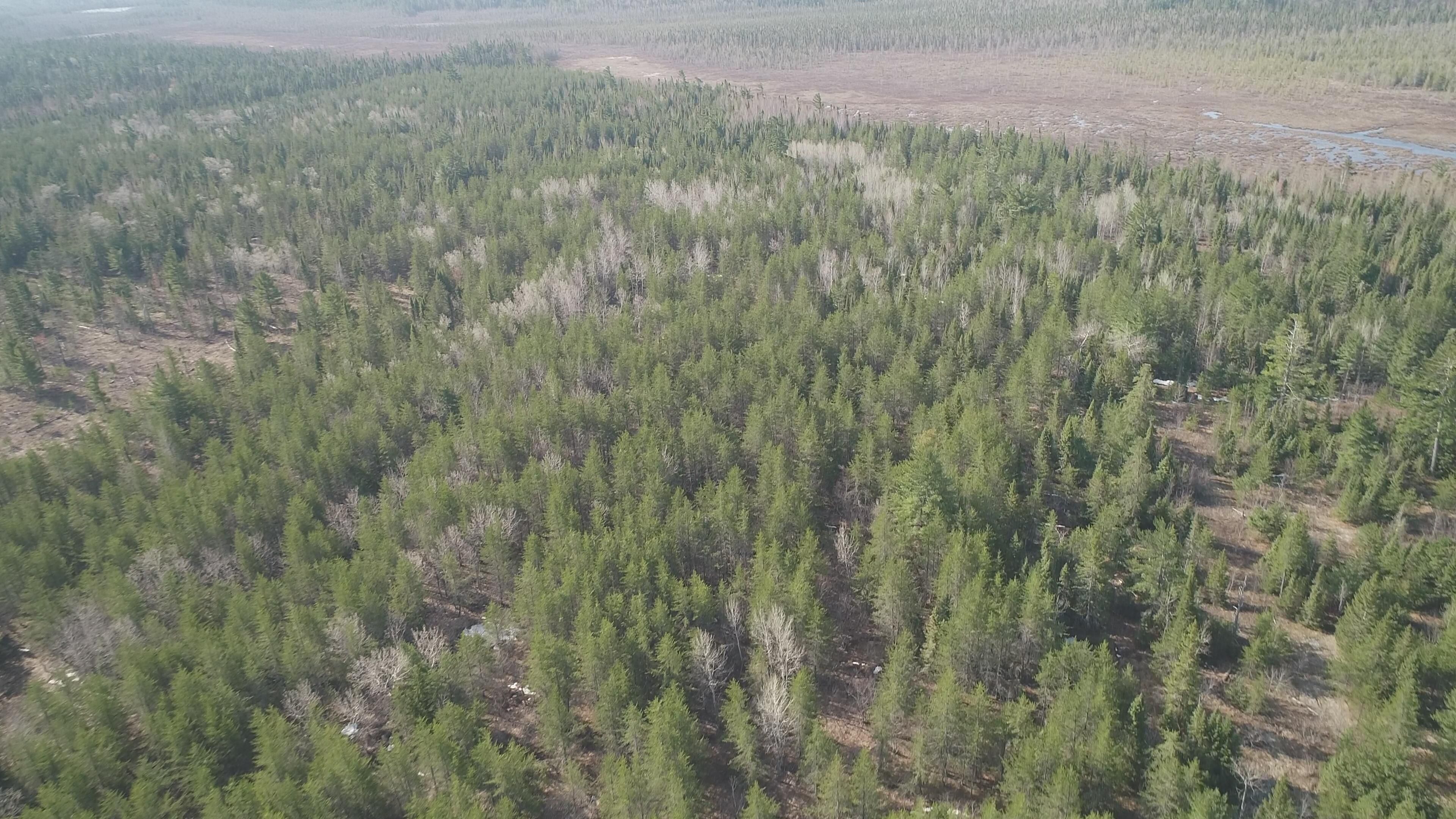 380 acres AAA rd, Michigamme, MI 49808 MLS 50076212 LandWatch
