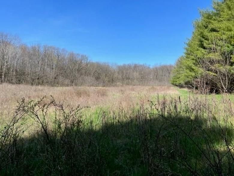 Monticello, Green County, WI Farms and Ranches, Hunting Property for