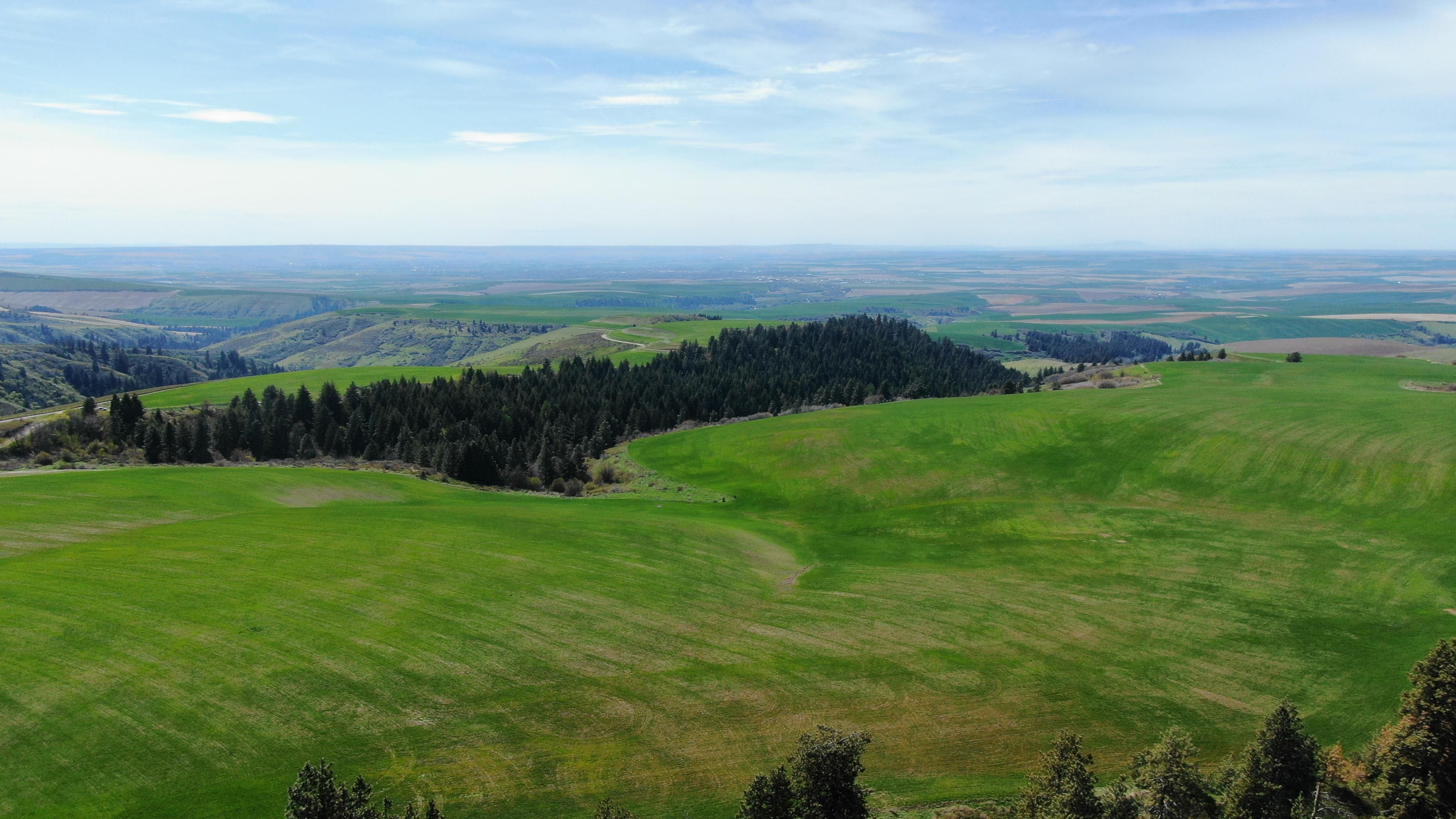 Blacksnake Ridge Road, Walla Walla, WA 99362 LandWatch