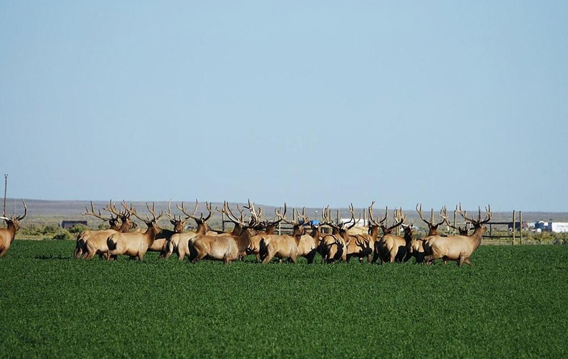 437 Highway 28, Farson, WY 82932 LandWatch